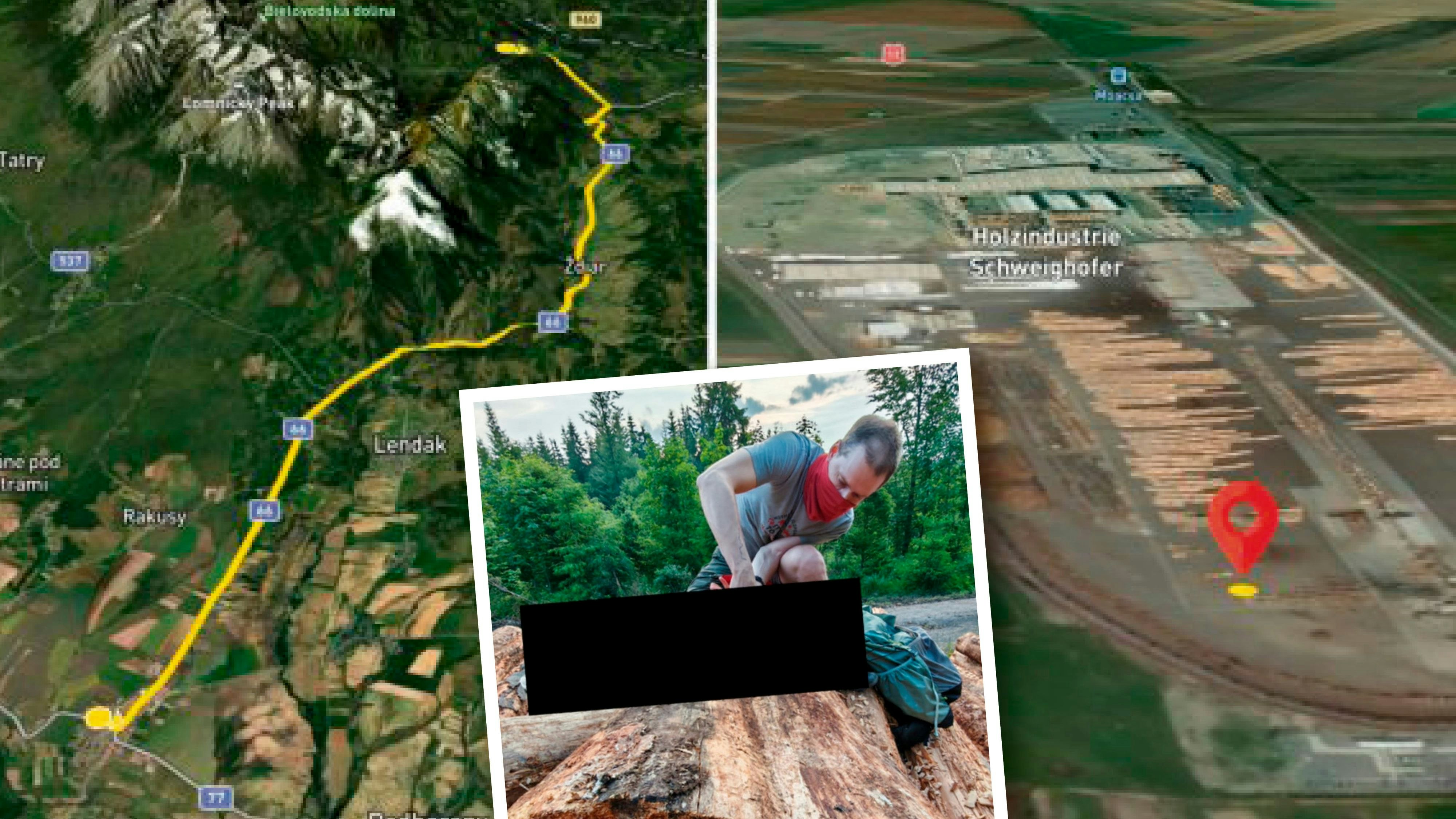 Heute.at - Holz aus Nationalpark landete bei Austro-Konzern