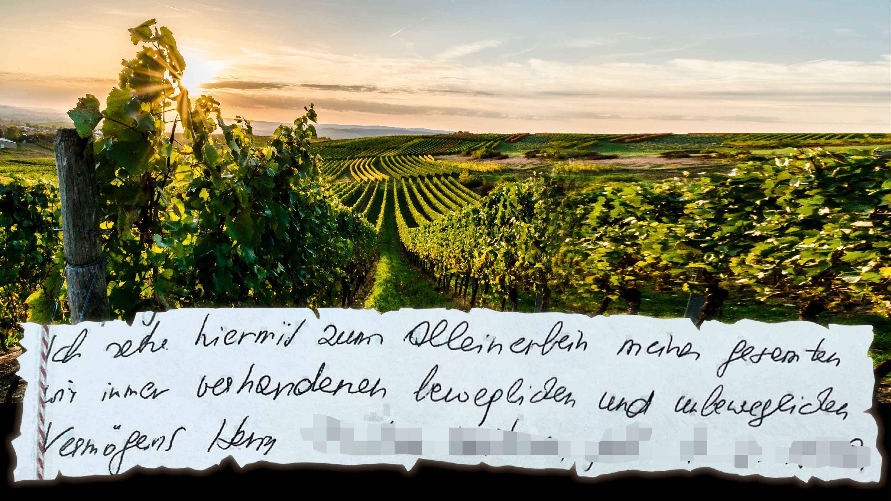 Das Original-Testament der Millionärin enthüllt: Der Winzer war seit 2022 Alleinerbe, soll somit überhaupt kein Motiv gehabt haben.