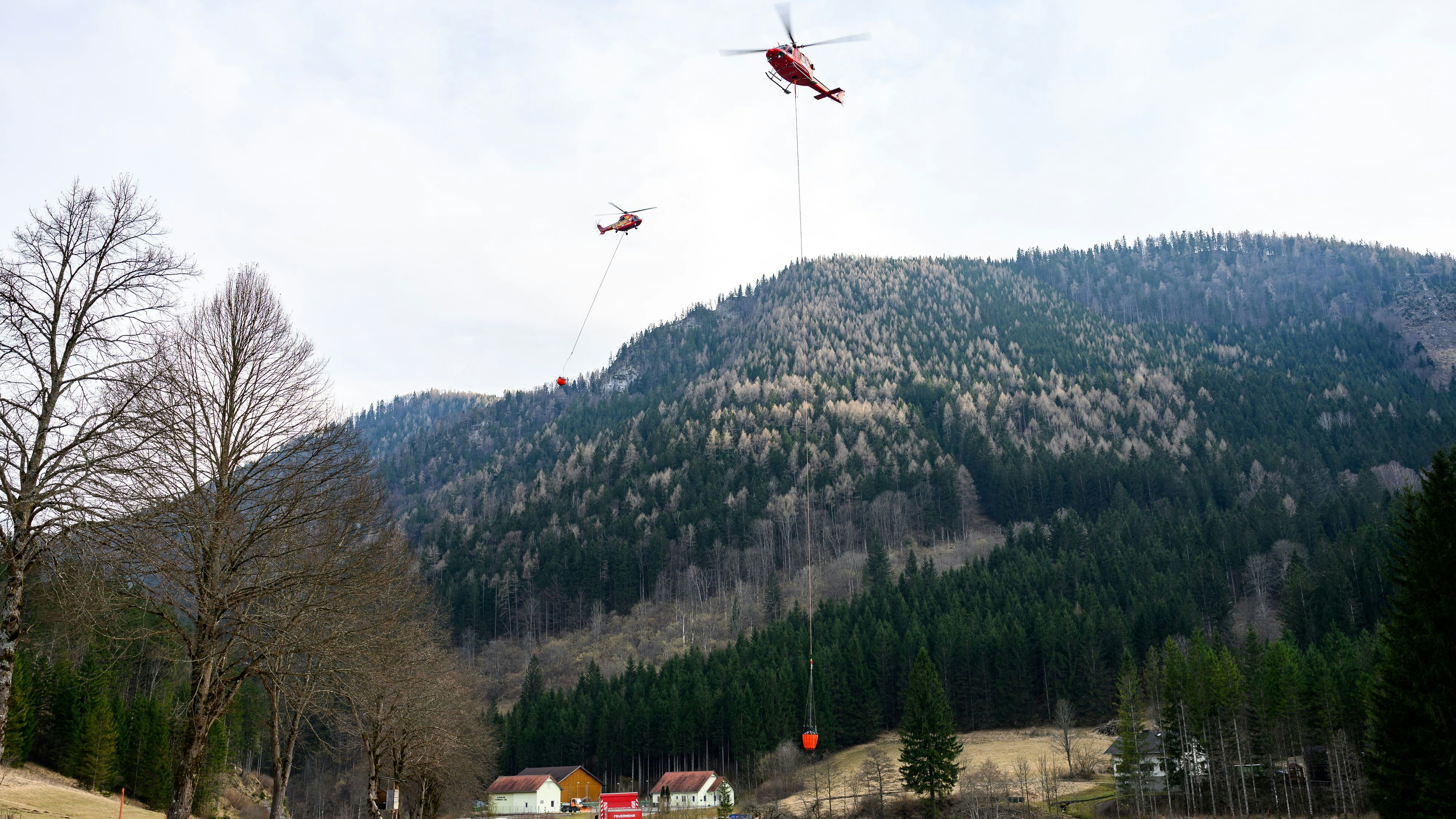 Heute.at - Schwammerlsucher stürzt zehn Meter in die Tiefe