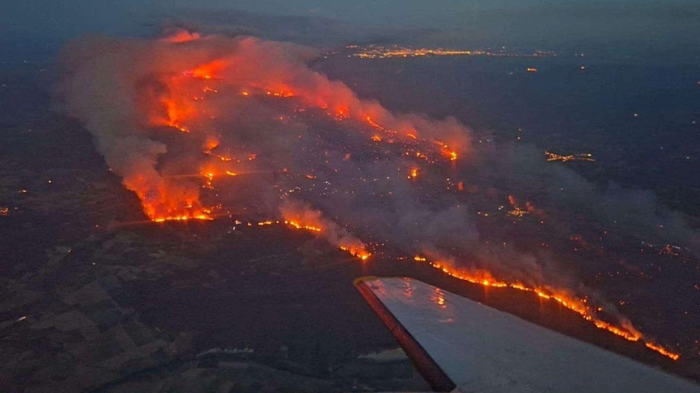 Heute.at - Frankreich: Schlimmste Waldbrände seit fast 100 Jahren