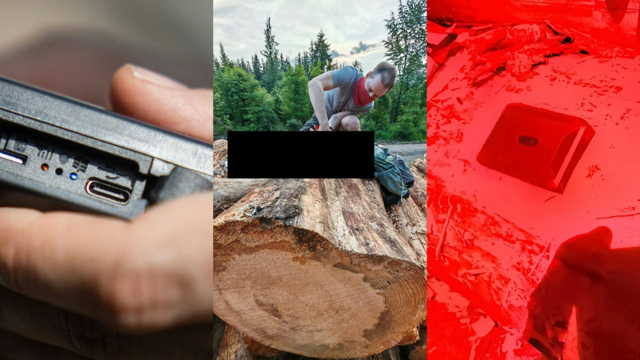 Für die Recherche wurden GPS-Tracker in Holzstapeln im Nationalpark versteckt und ihre Route verfolgt.