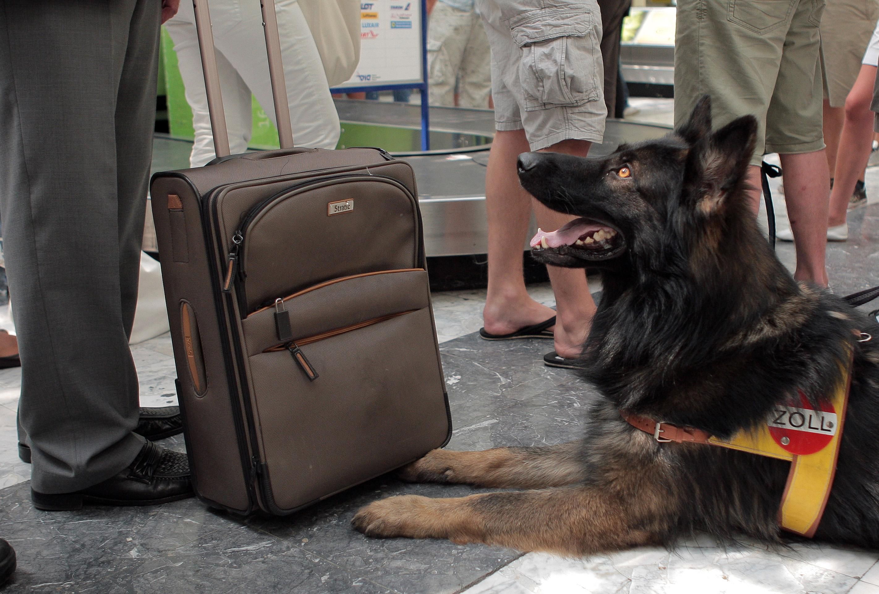 Der nächste Fall! Die große Lieferung wurde in Österreich abgefangen (Sujetfoto).