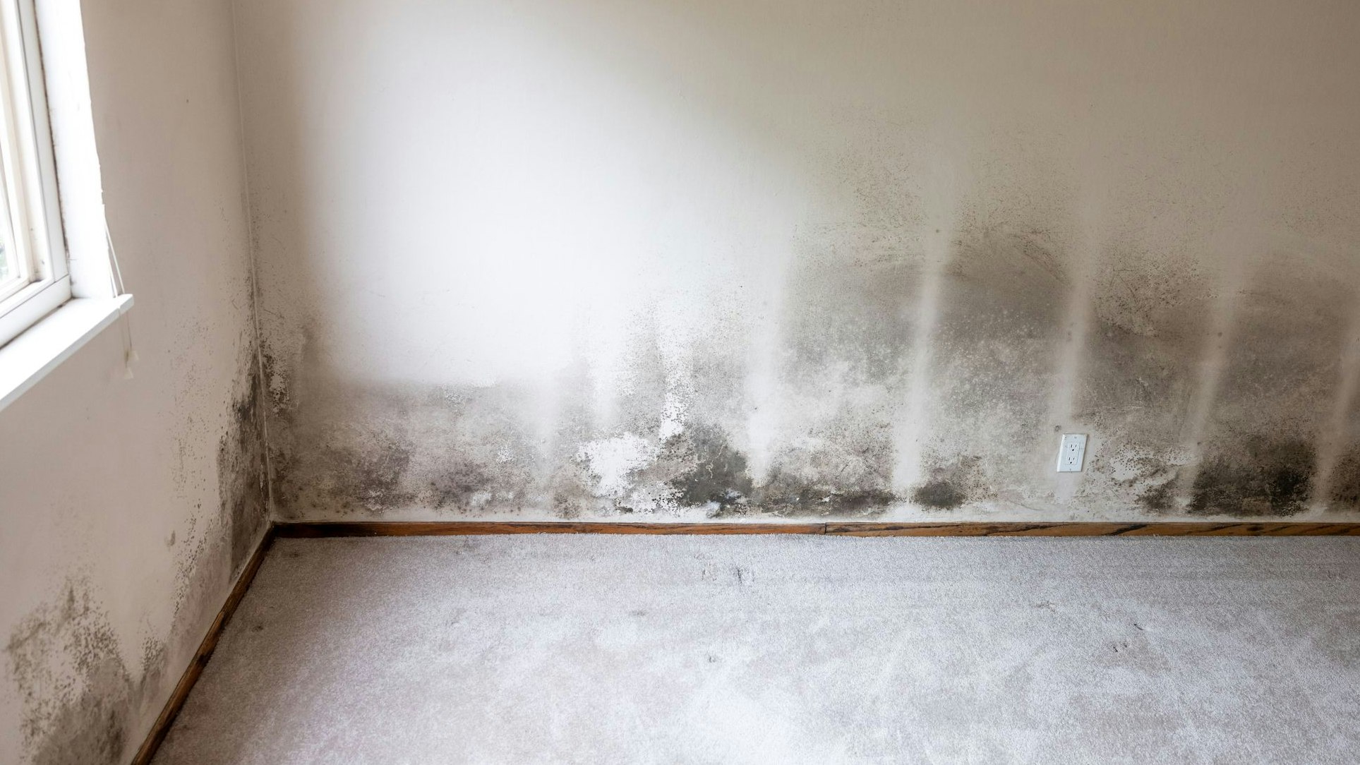 Heute.at - Tut nichts – Bewohner fetzen sich mit Hausverwaltung