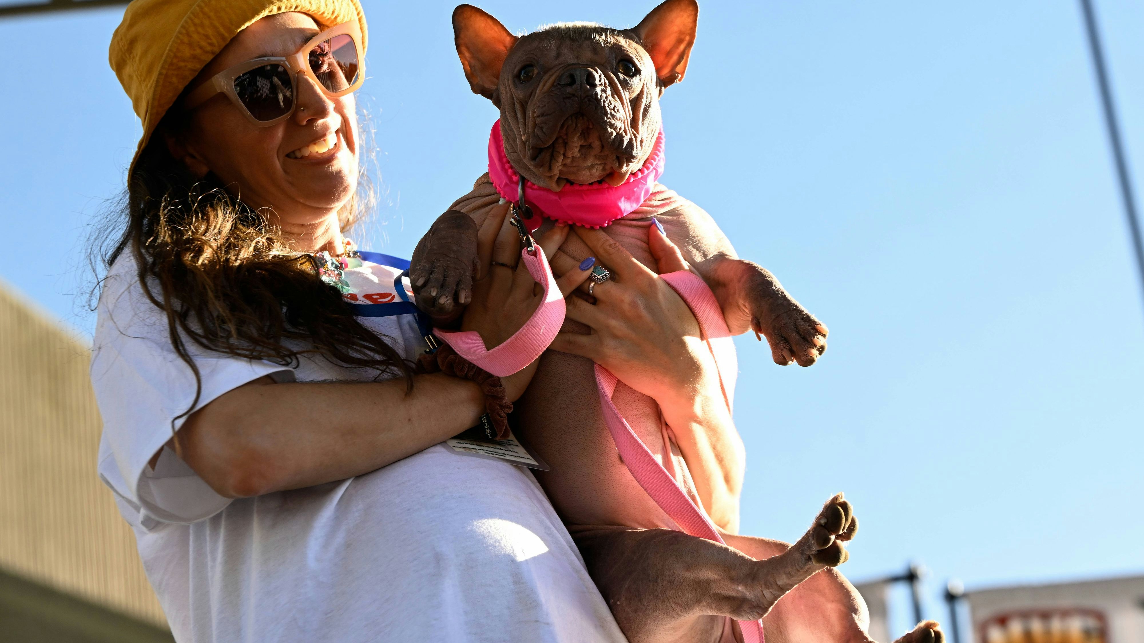 Die Freude über den Sieg ist wohl eher bei Frauchen zu verorten.