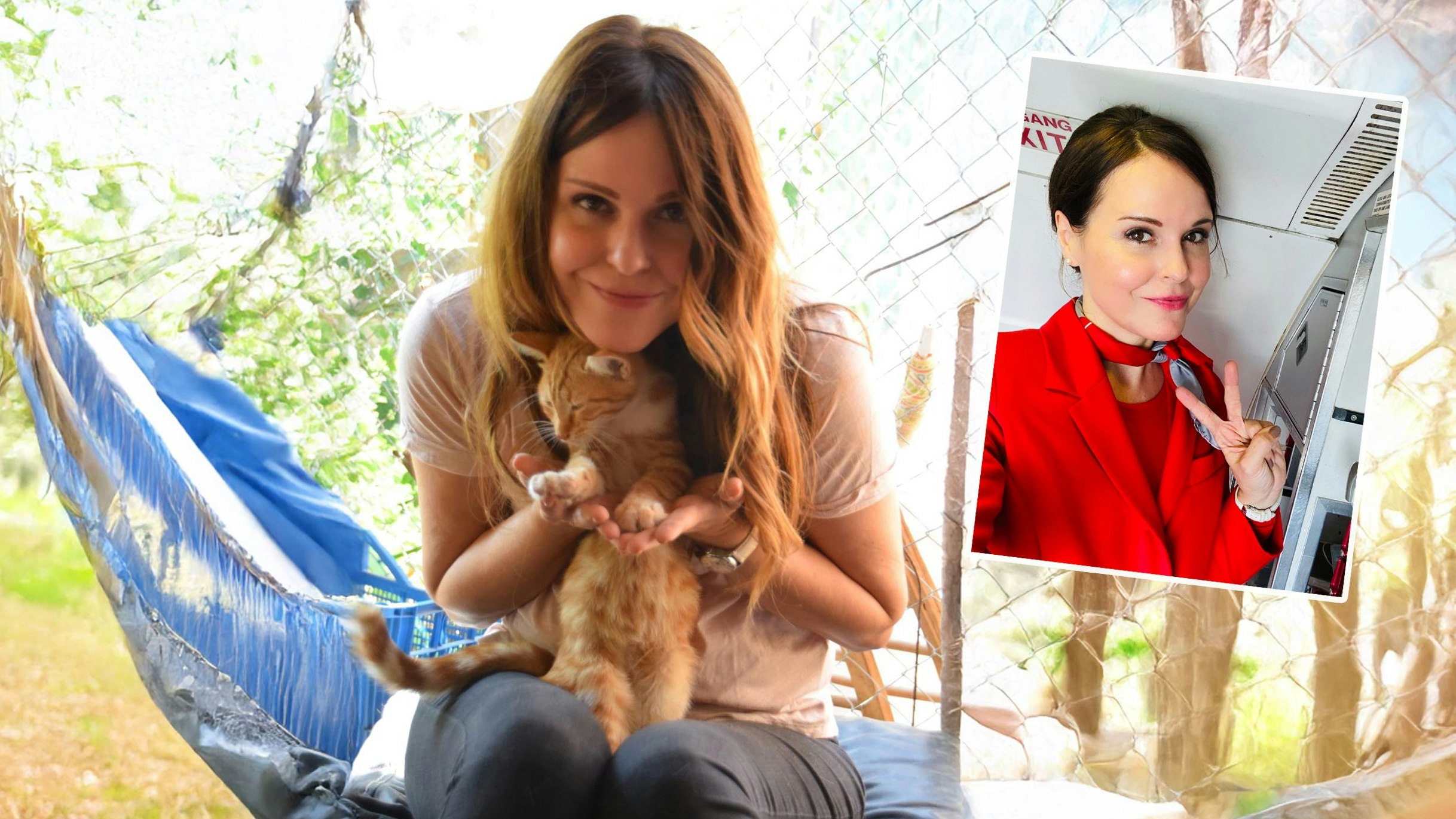 Heute.at - Herz für Samtpfoten: Ex-Flugbegleiterin bleibt am Boden