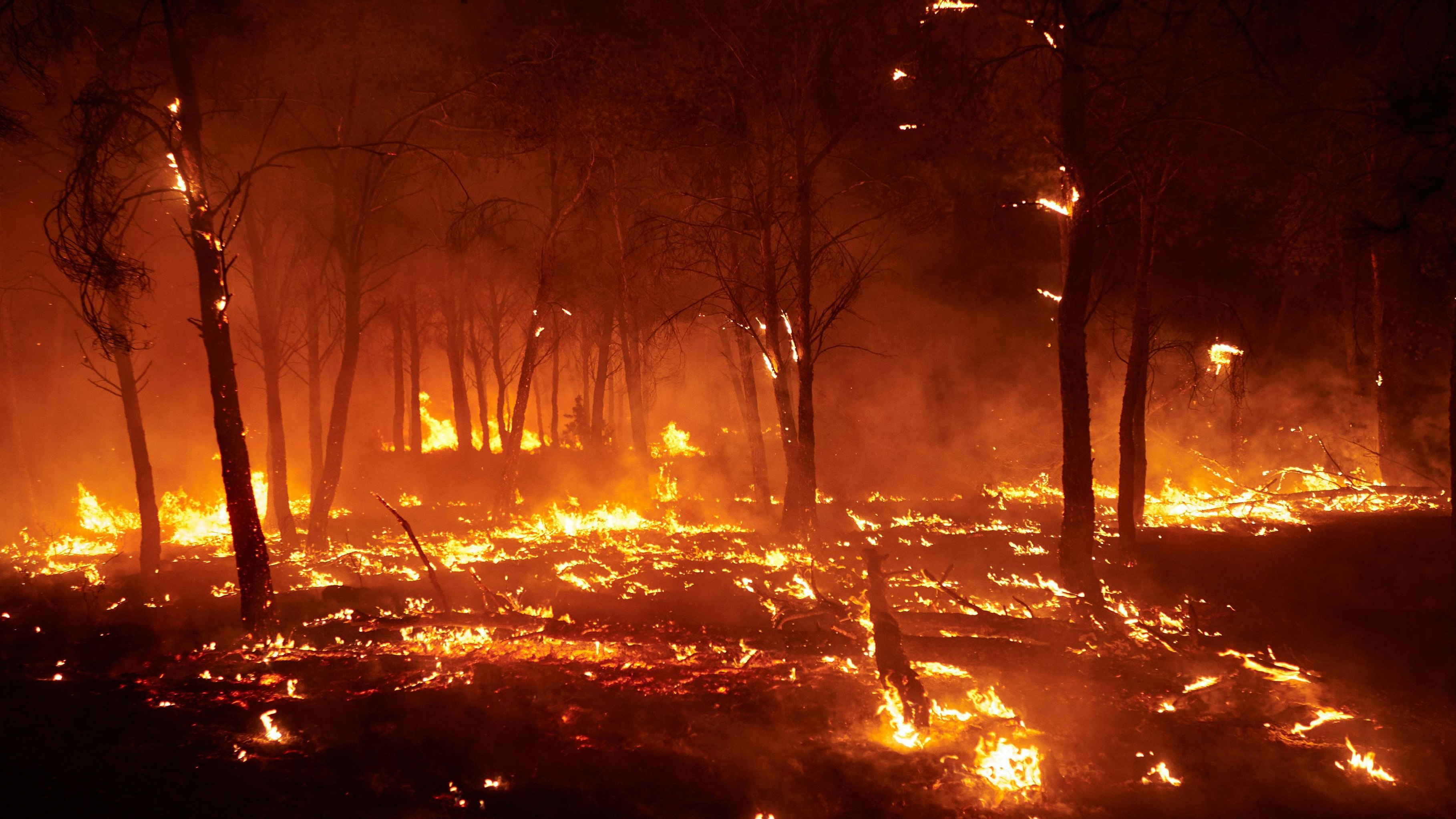 Heute.at - Brände – Zerstörte Fläche so groß wie Oberösterreich