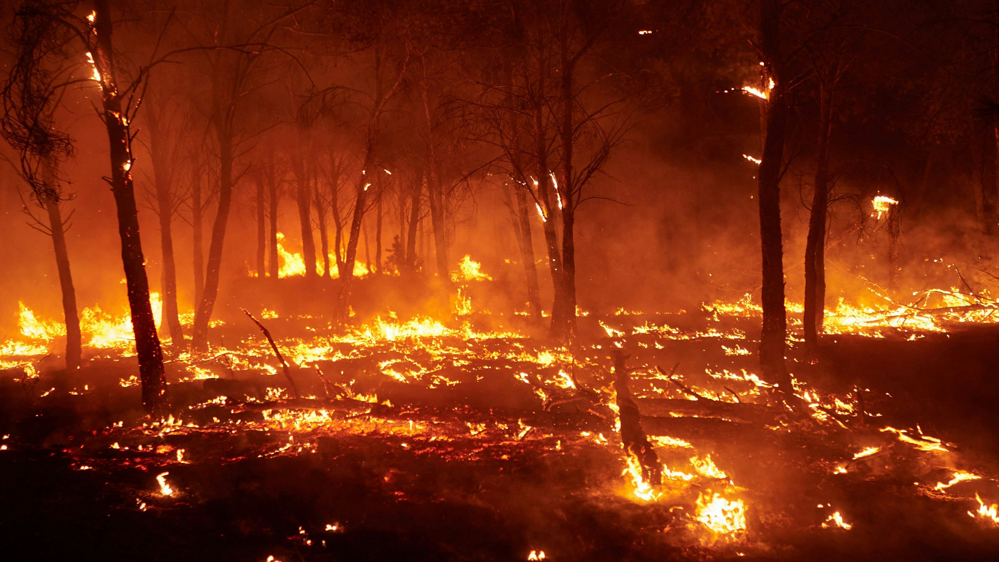 Heute.at - Schock! Reisewarnungen für drei beliebte Urlaubsländer