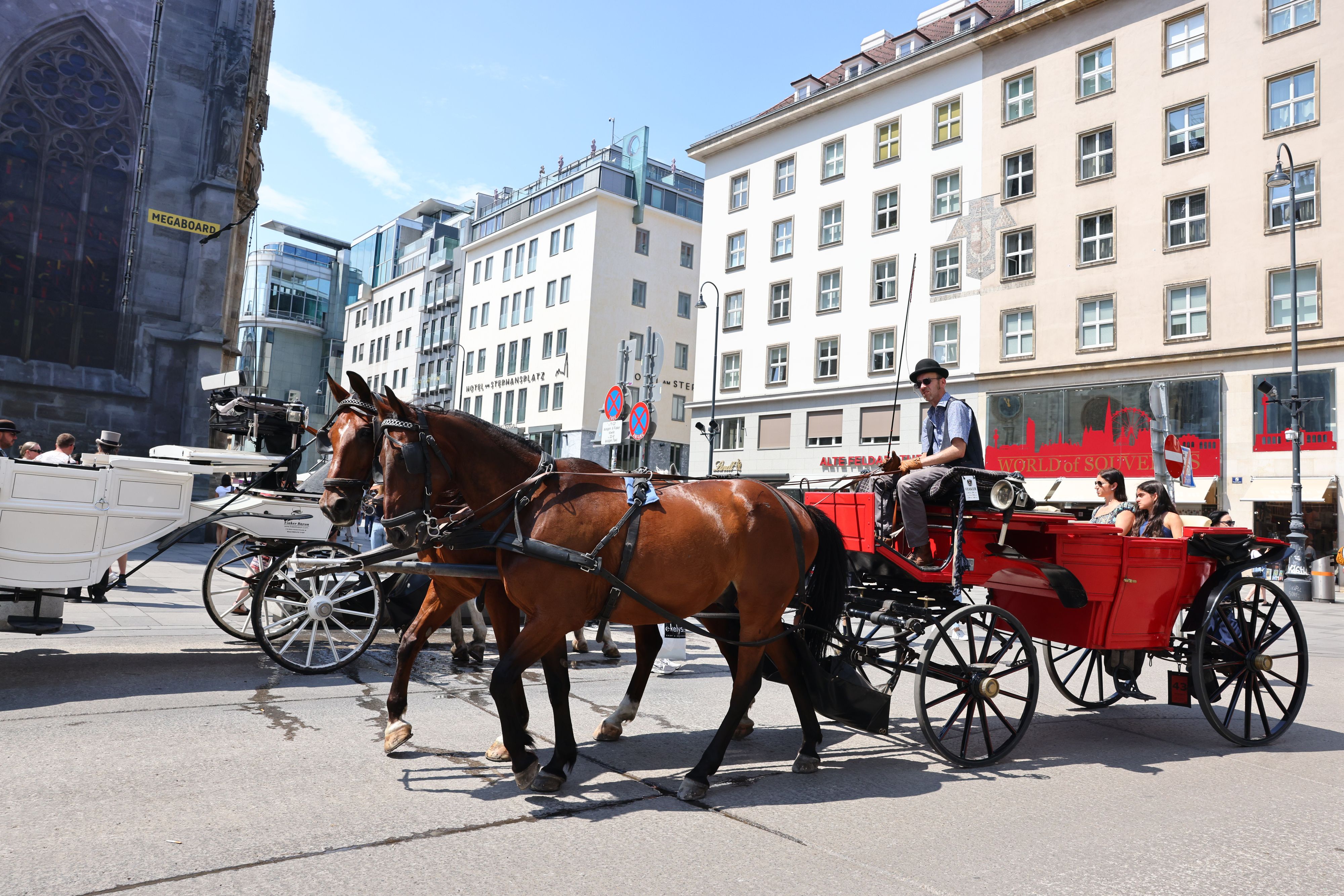 Im Rahmen einer neuen Studie sollen Daten über das Wohlbefinden der Fiakerpferde gesammelt werden.