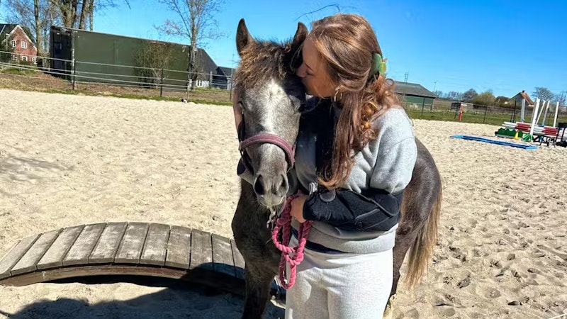 <strong>12.08.2025: "Bereue nichts" – Mutter bringt Pony als Löwenfutter.</strong> Ein Zoo in Aalborg bat um Tier-Spenden für Raubtiere. Eine Frau brachte daraufhin das Pony ihrer Tochter. <a data-li-document-ref="120124178" href="https://www.heute.at/s/bereue-nichts-mutter-bringt-pony-als-loewenfutter-120124178">Die ganze Story hier &gt;&gt;&gt;</a><a target="_blank" data-li-document-ref="120124099" href="https://www.heute.at/s/wiener-klimastadtrat-will-auch-pfand-auf-batterien-120124099"></a>