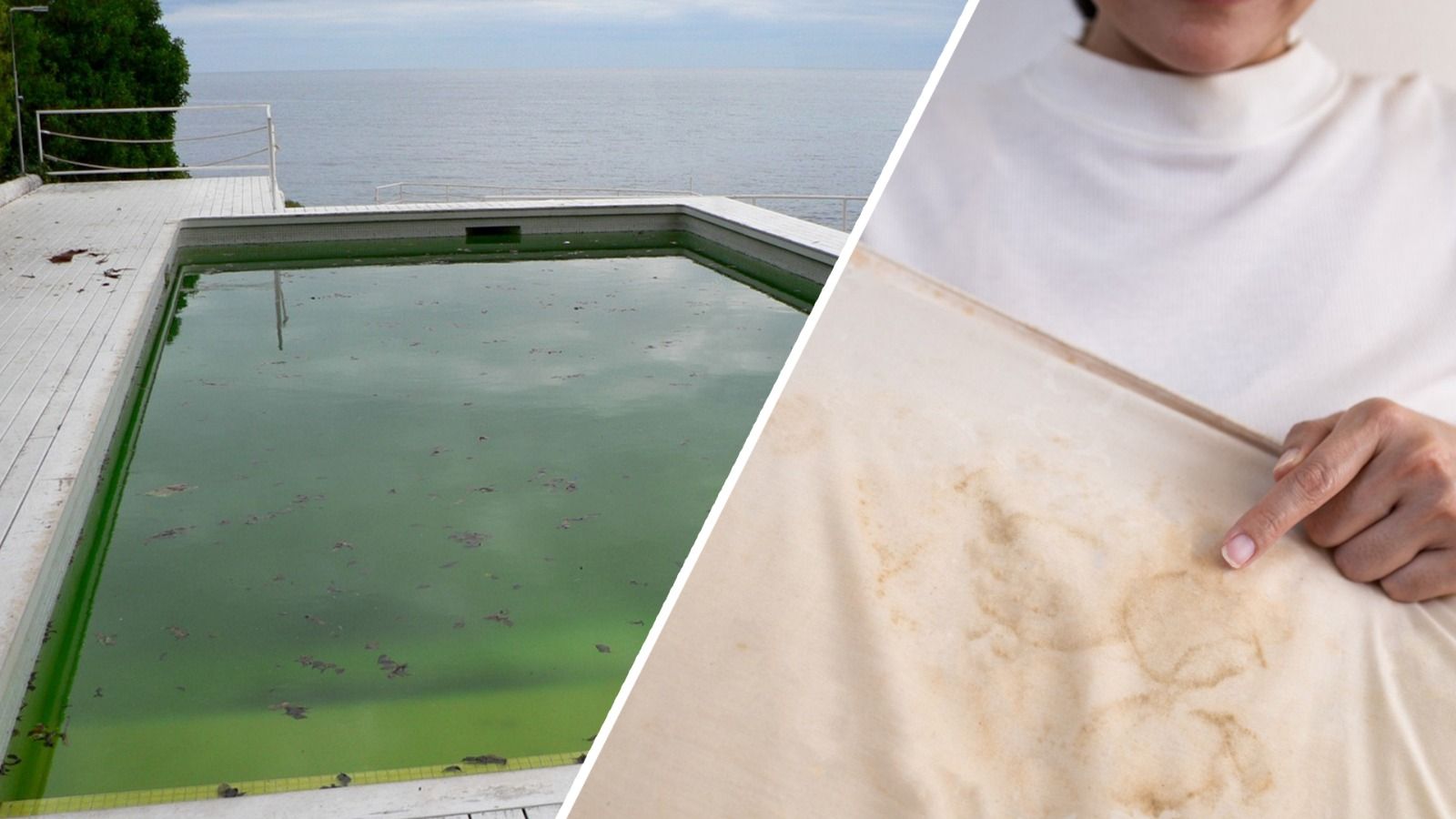 Das Paar zahlte viel Geld, im Hotel war der Pool dann aber voller Algen, das Bett voller Flecken. (Symbolfotos)