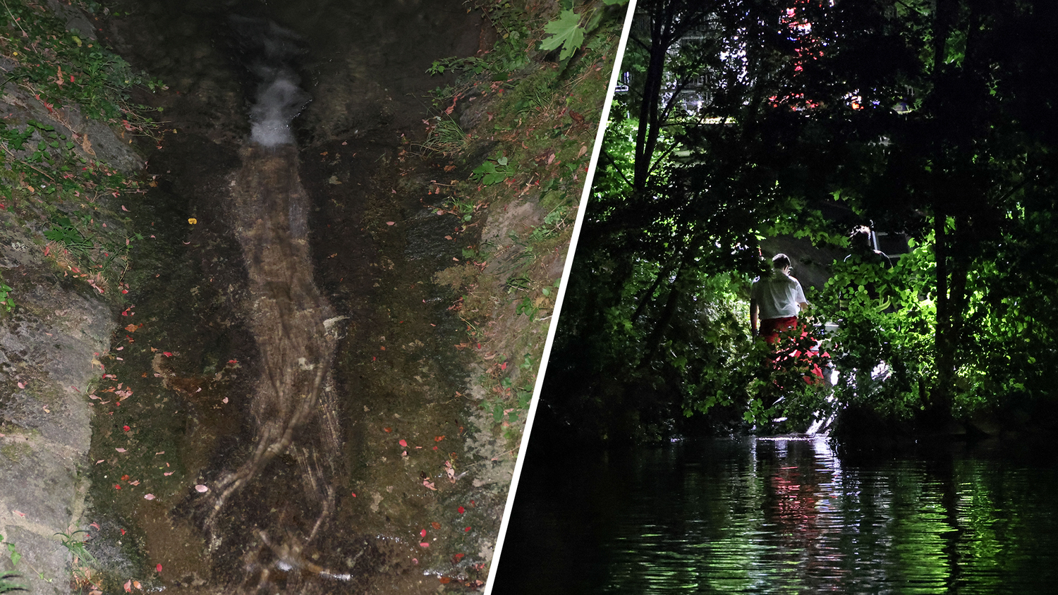 Der Mann lag eineinhalb Stunden lang im Bach, bis Spaziergänger seine Hilferufe hörten.