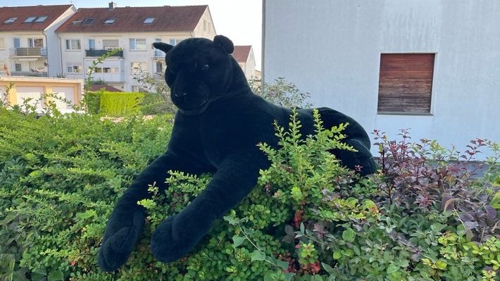 Heute.at - Stofftier in Hecke löst Raubtier-Alarm aus