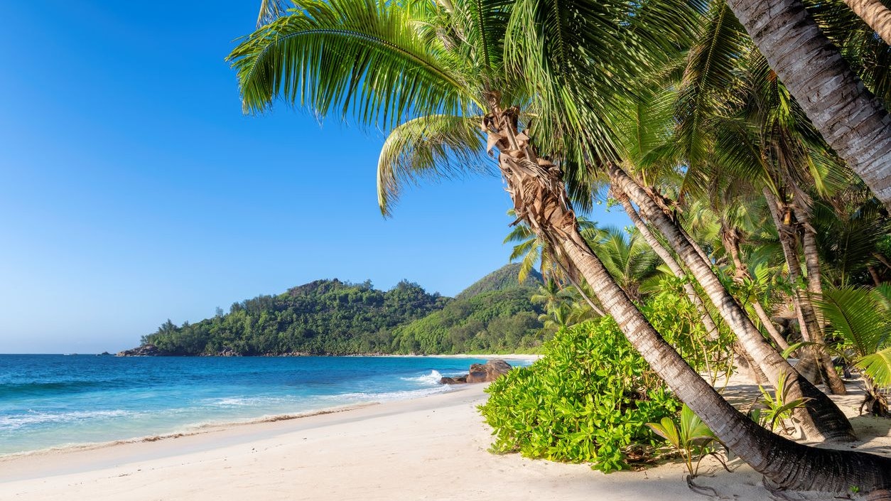Die Frau gönnte sich einen Urlaub auf Jamaika - für mehrere Monate.