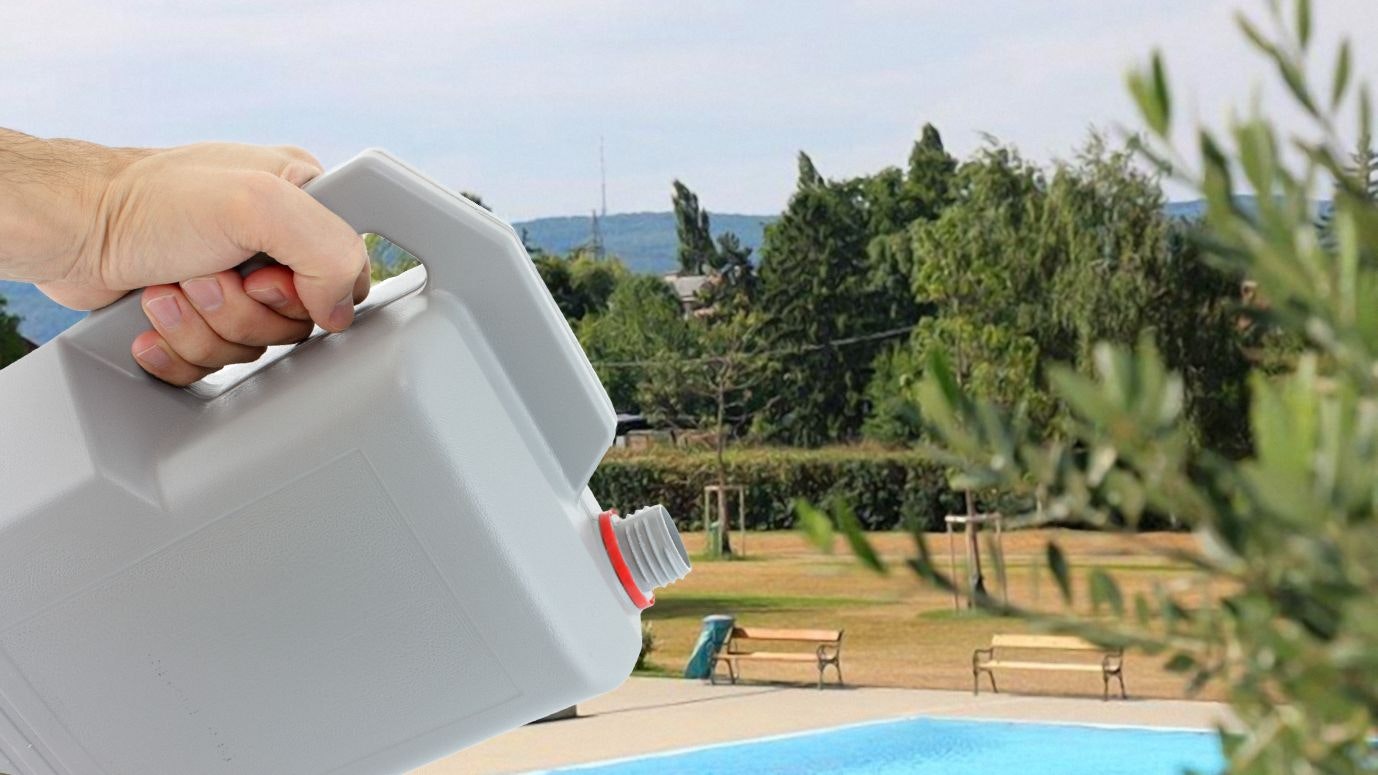 Heute.at - Unkrautgift im Freibad – Wiesen nun braun statt grün
