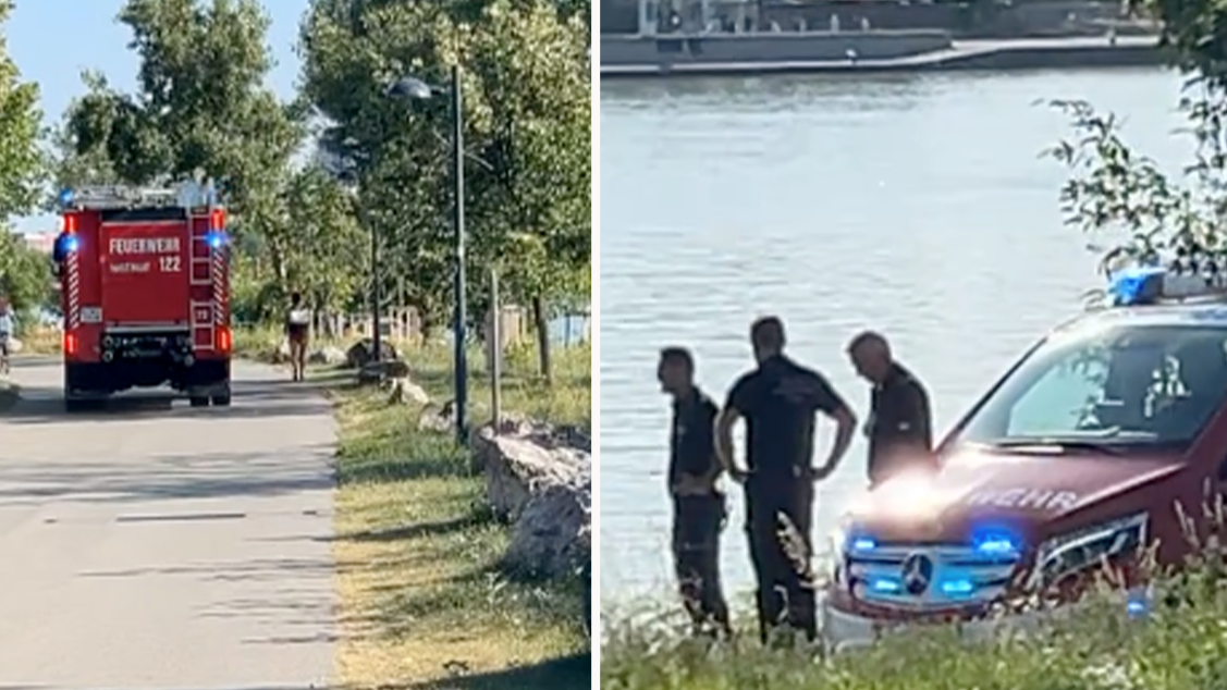 Heute.at - Klarheit um Donau-Wasserleiche in Wien – es war Mord