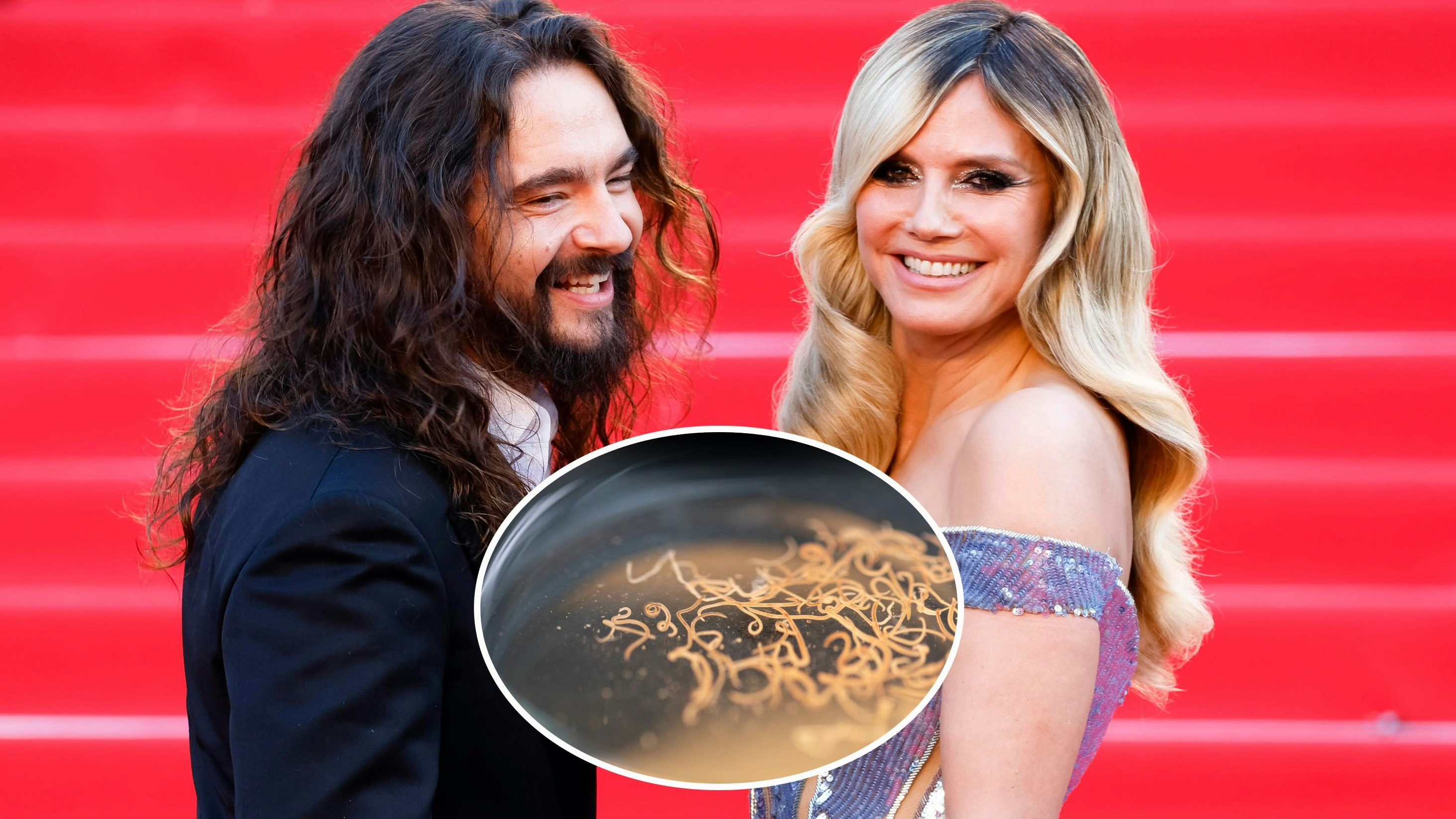 Heute.at - Strikte Wurmkur für Heidi und Tom – ohne Diagnose