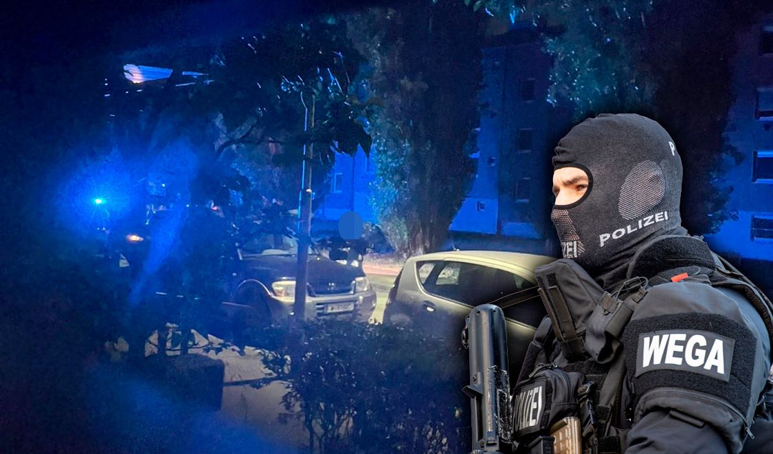 Die Verfolgungsjagd endete in der Donaustadt mit einer Festnahme. 