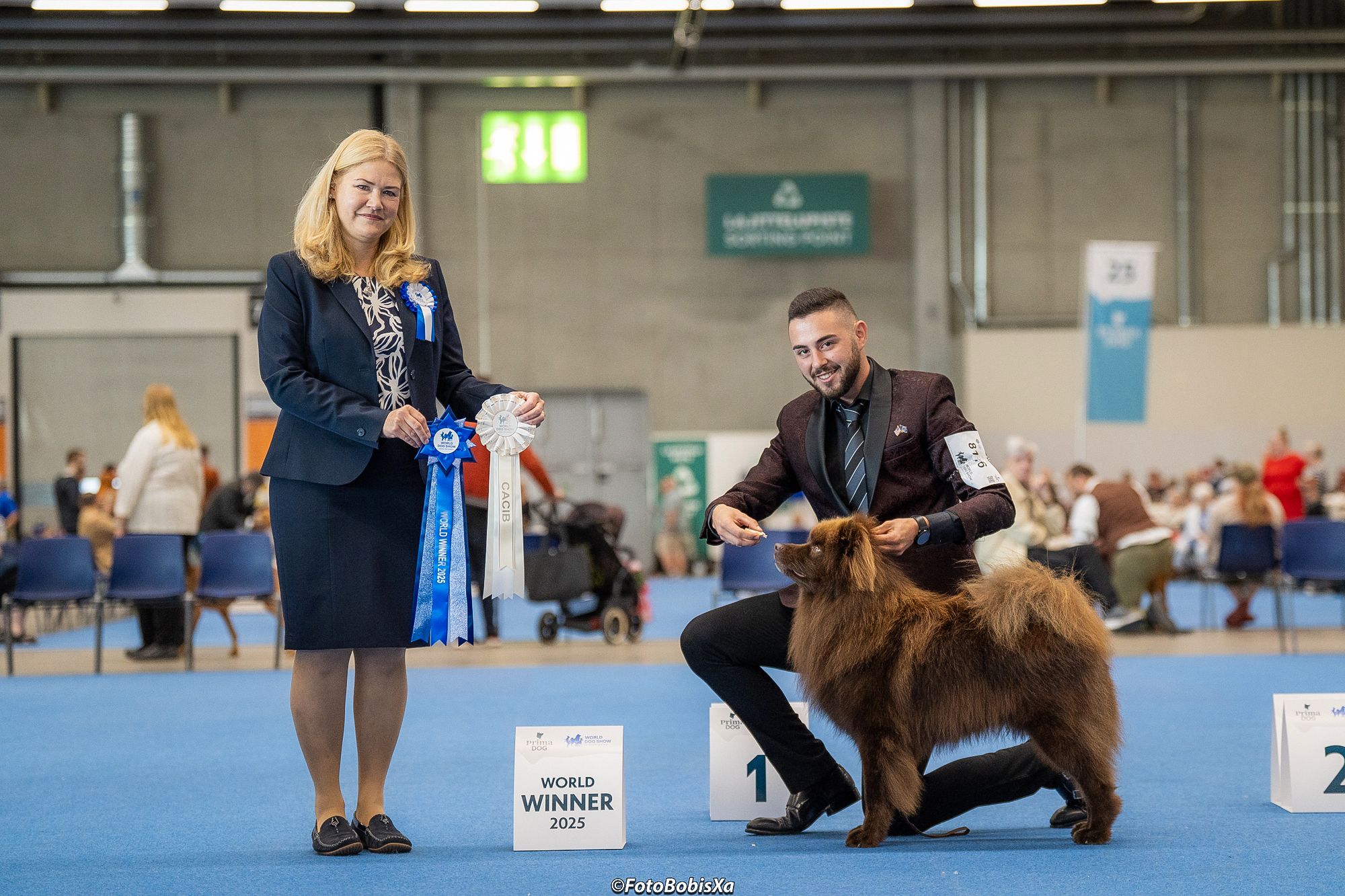 Iri-Hor bei seiner Siegerehrung zum World Dog mit 