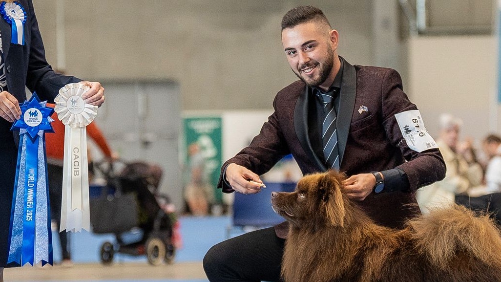 Heute.at - Beauty-Contest: Schönster Spitz kommt aus NÖ