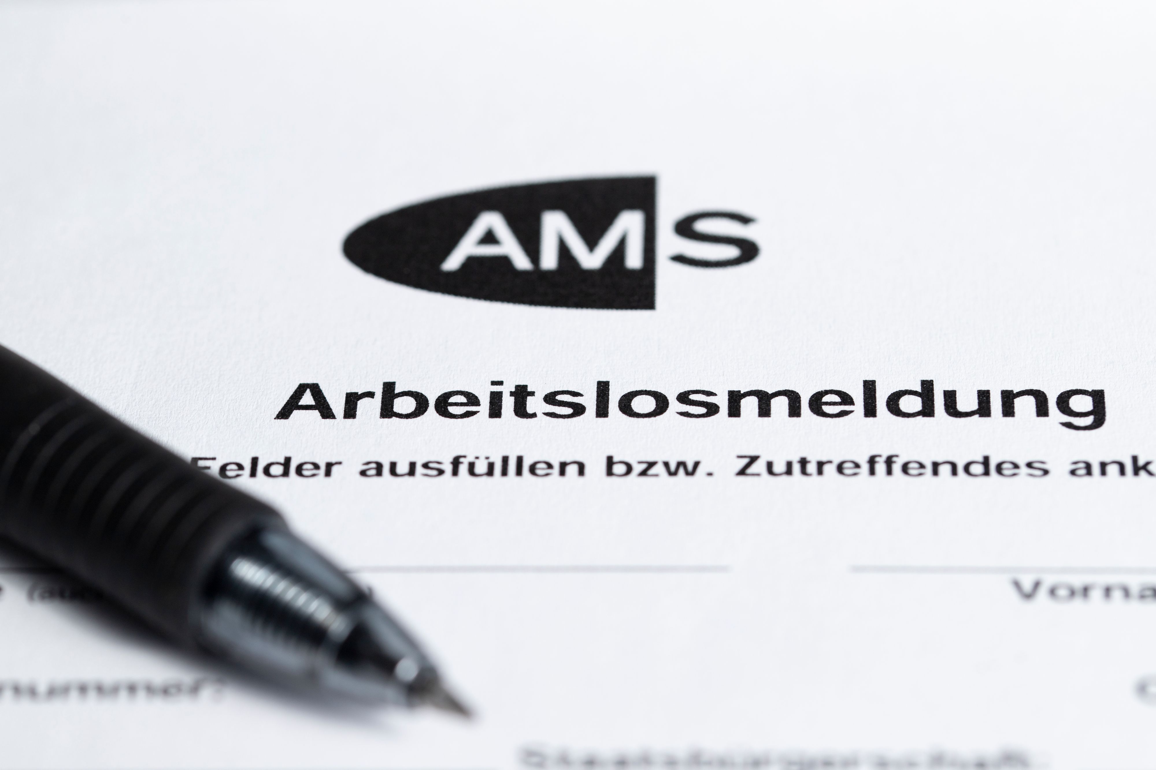 Während des gesamten Tatzeitraums war der Mann beim AMS als arbeitsunfähig gemeldet.