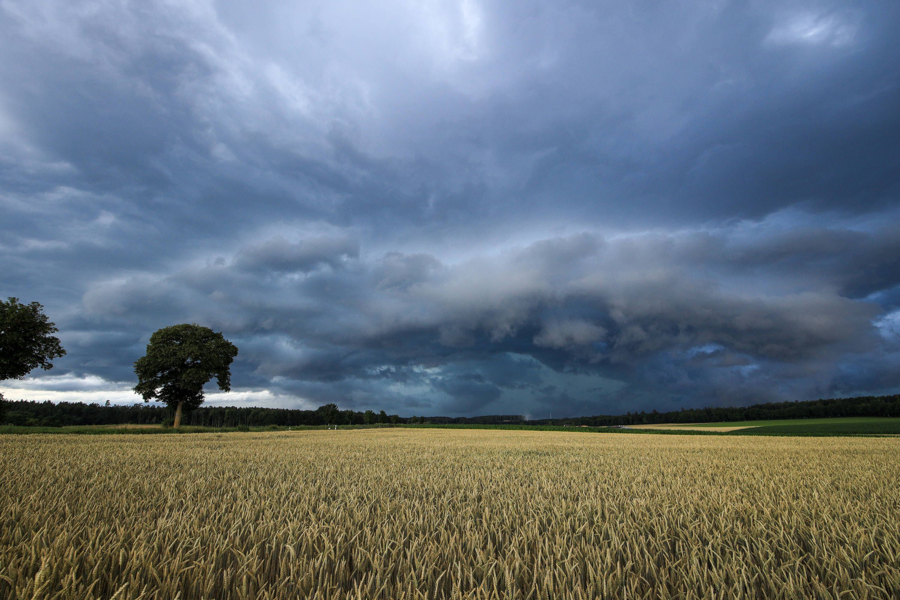 Kräftige Gewitter ziehen zum Wochenende über Österreich hinweg. (Symbolbild)