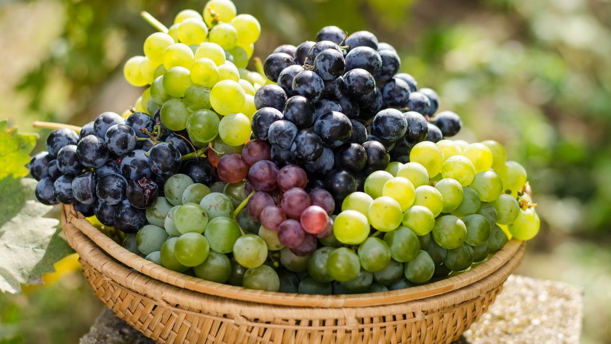 Heute.at - Rot oder Grün? Diese Trauben sind gesünder