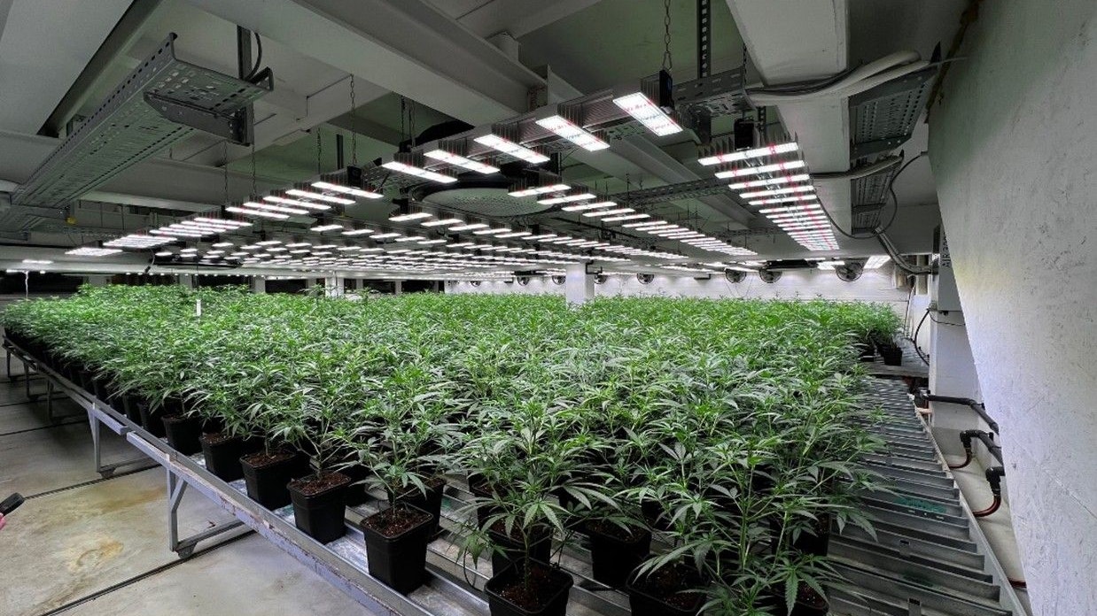 Heute.at - Razzien auf Cannabisplantagen – Mann (47) festgenommen