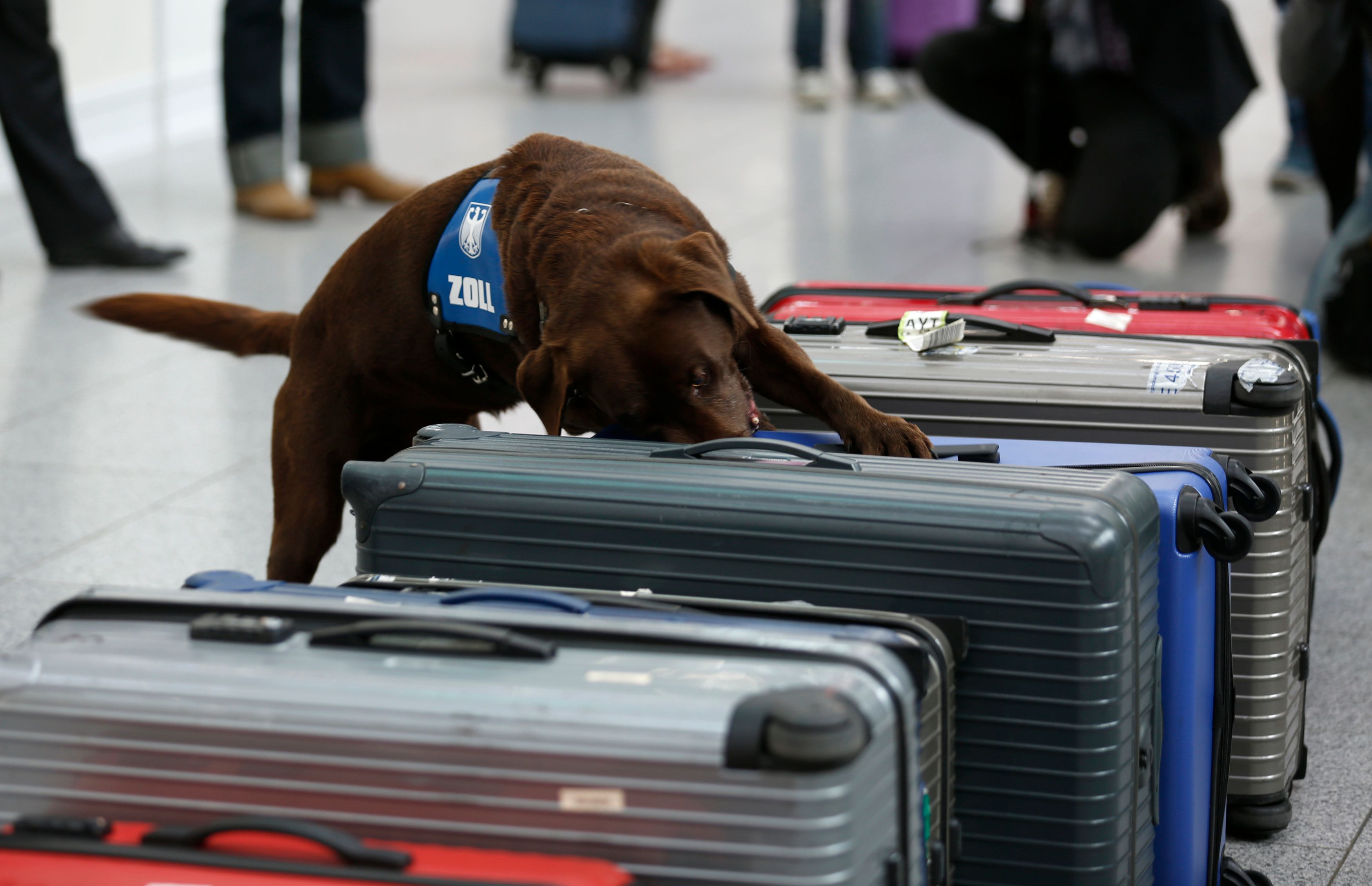 Der Drogenschmuggel flog am Flughafen Düsseldorf auf, der Türke wurde festgenommen.
