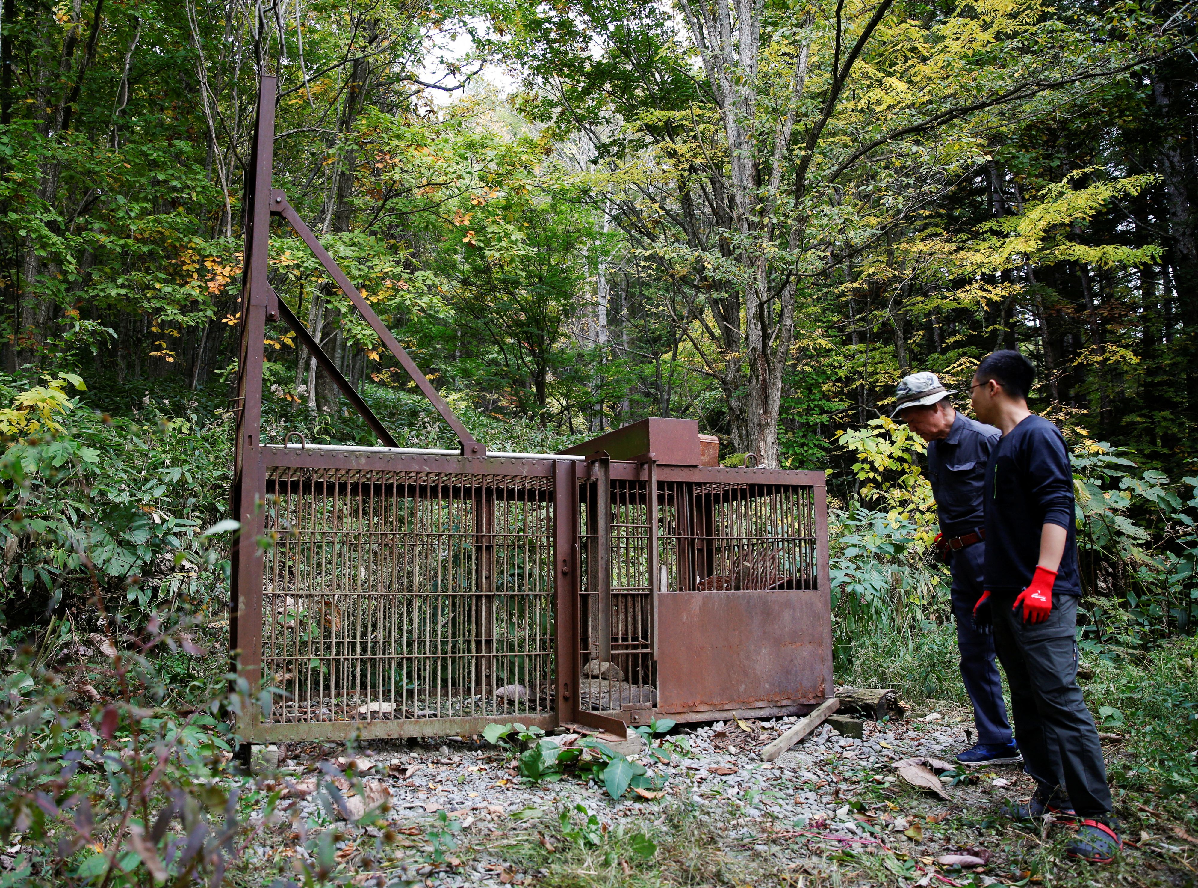 Jäger überprüfen eine Bärenfalle auf der japanischen Insel Hokkaido.