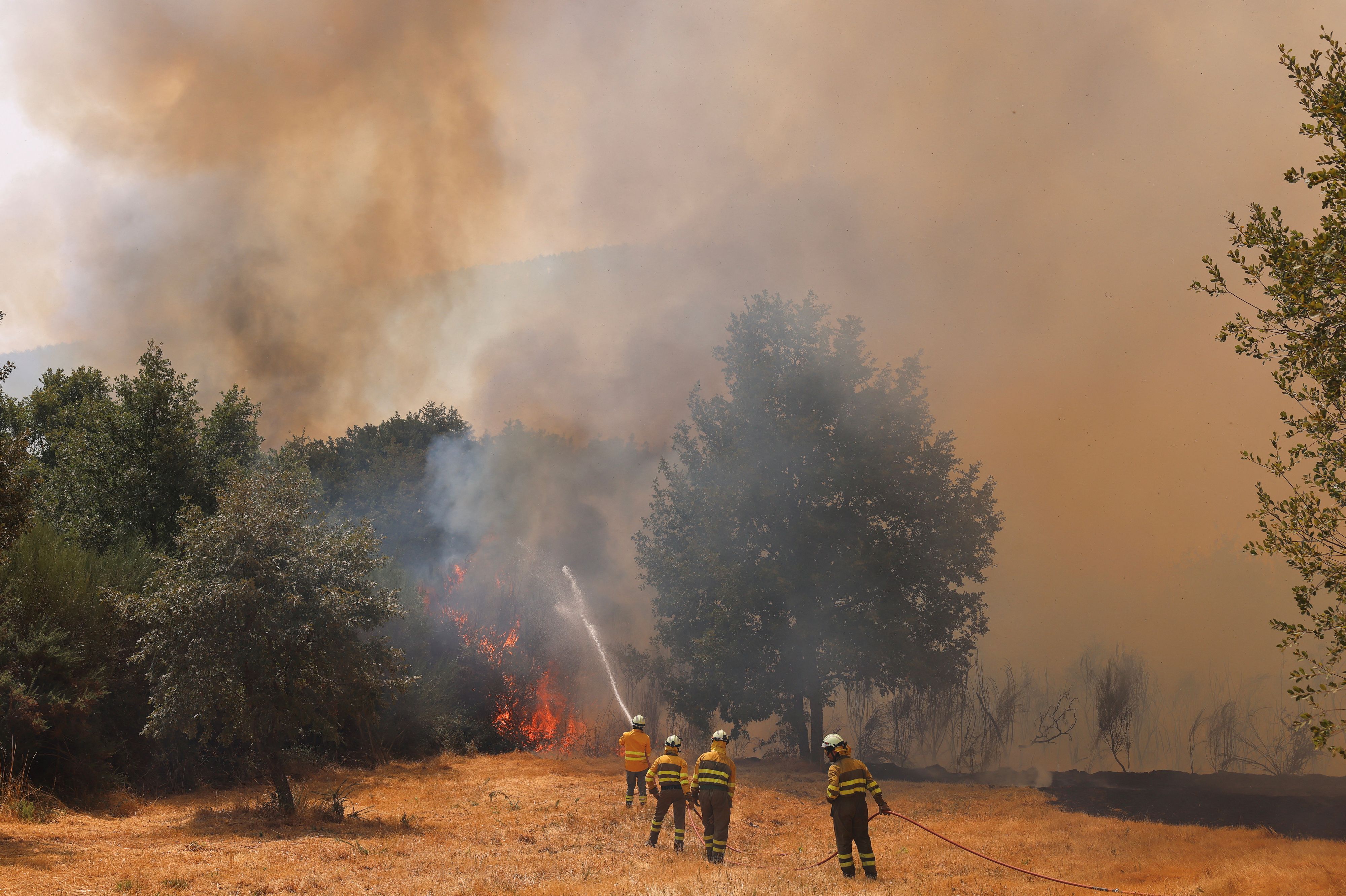 Besonders schlimm ist die Lage in Galicien im Nordwesten, in Kastilien und León, in Asturien und in Extremadura.