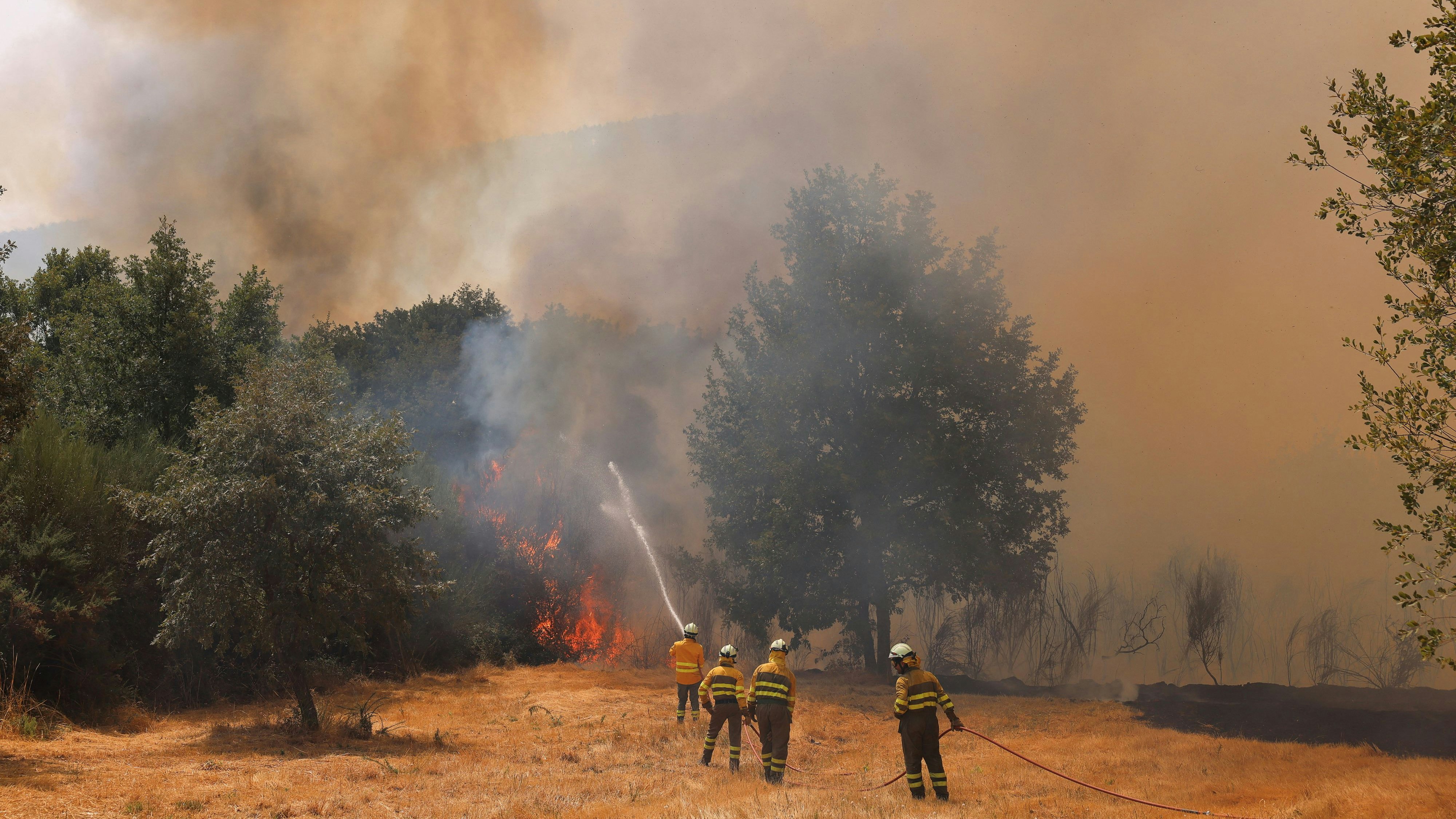 Heute.at - Waldbrände in Spanien – Großeinsatz gegen Flammenfront