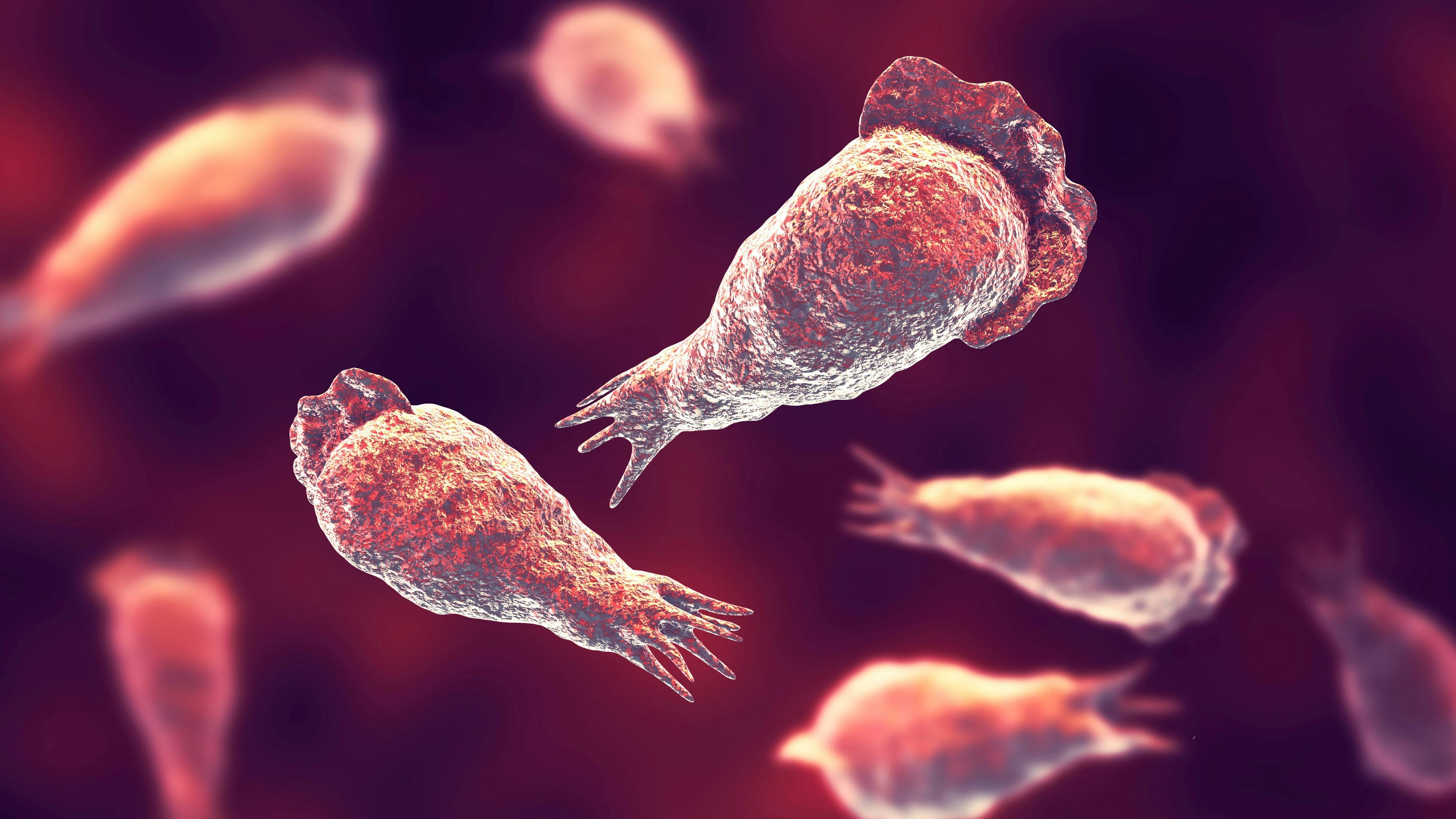 Heute.at - Hirnfressende Amöbe tötet Jaysen (12) nach Badespaß