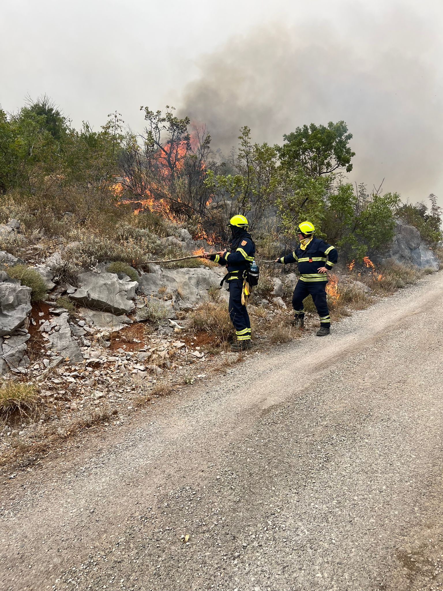 Niederösterreichische Feuerwehrkräfte im internationalen Einsatz