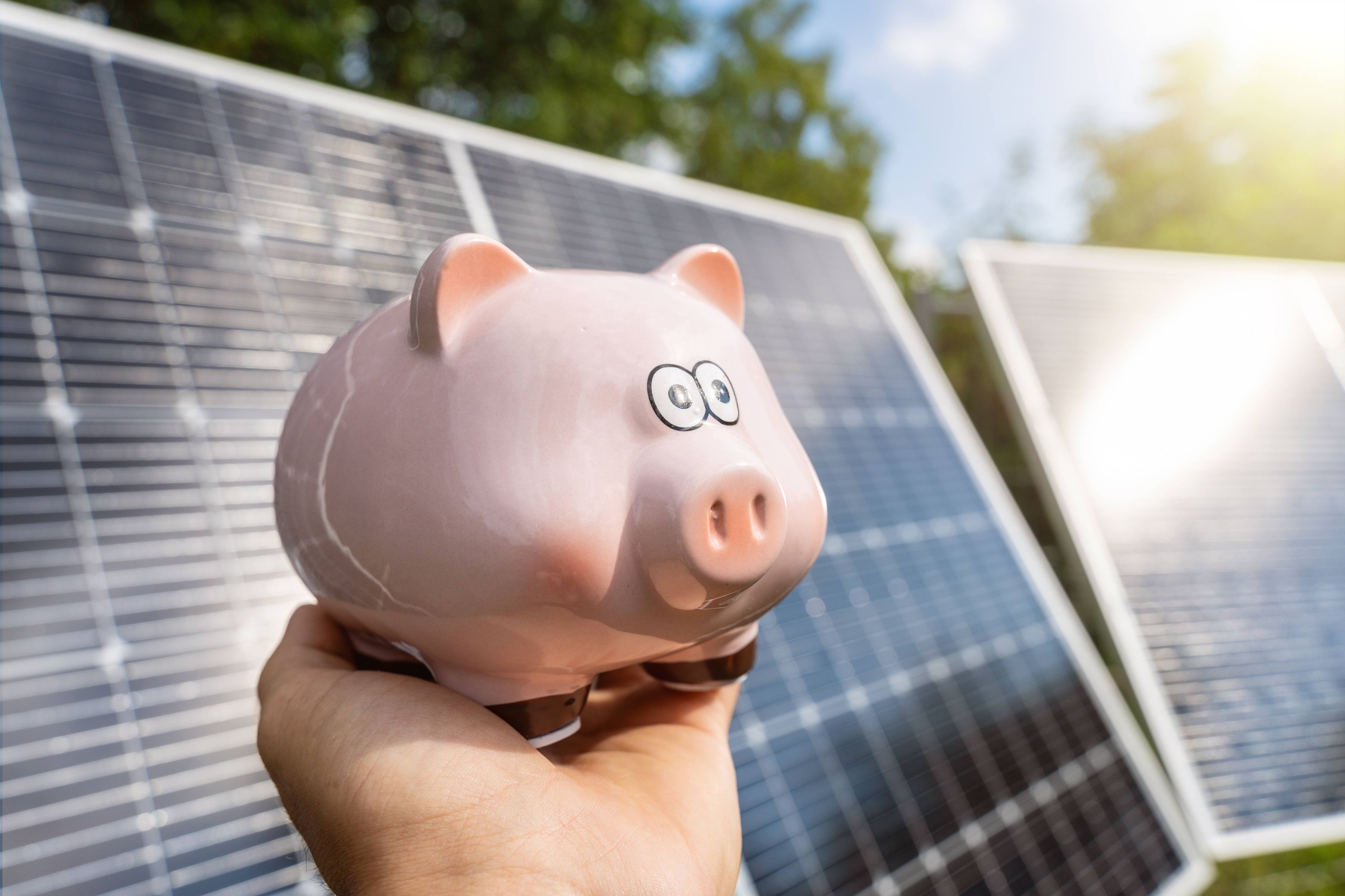 Die ersten beiden PV-Fördercalls waren ein Erfolg – im Herbst gibt es dann die nächste Chance