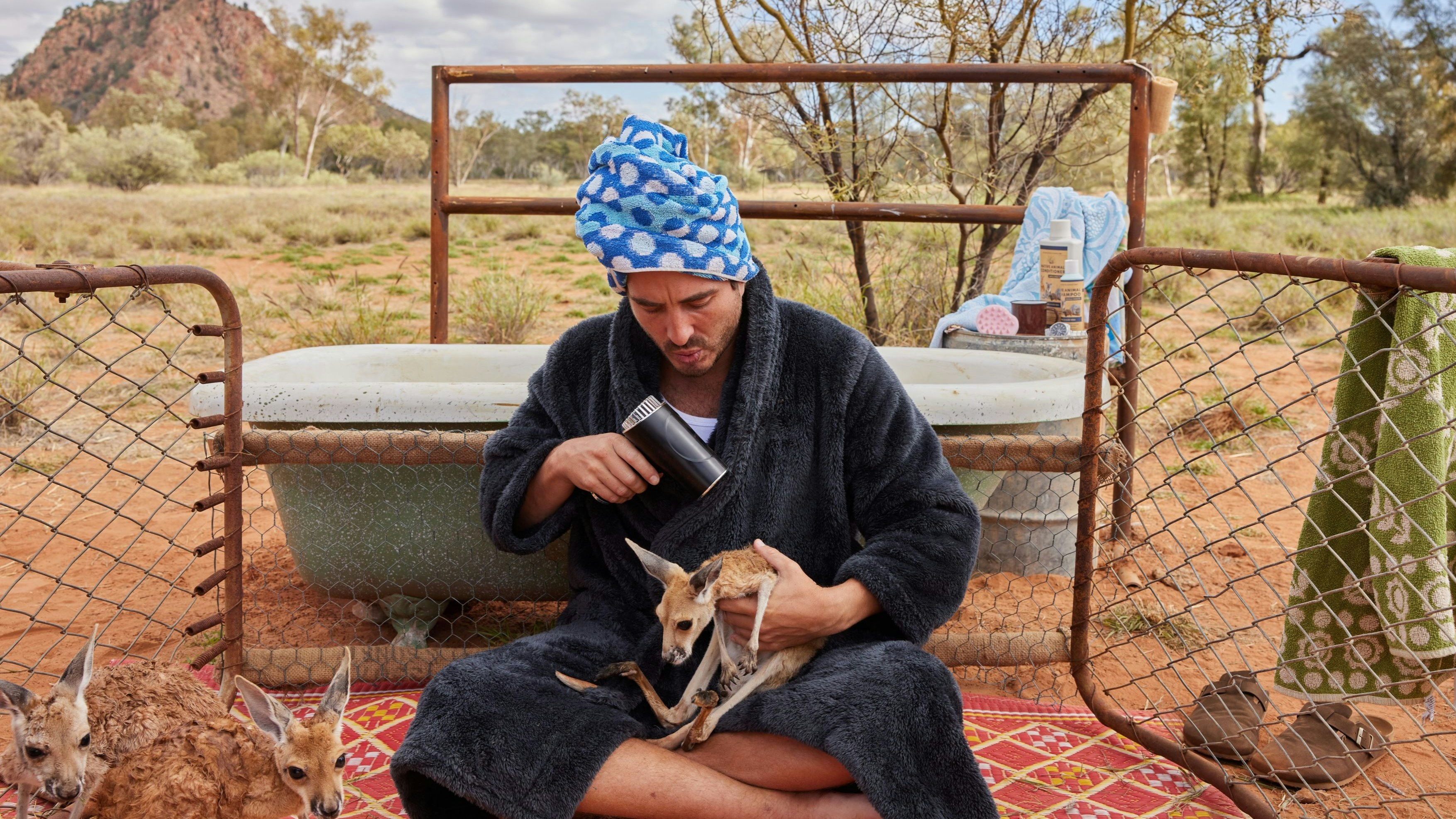 Heute.at - Heute verlost 10 Karten für Lilly und die Kängurus