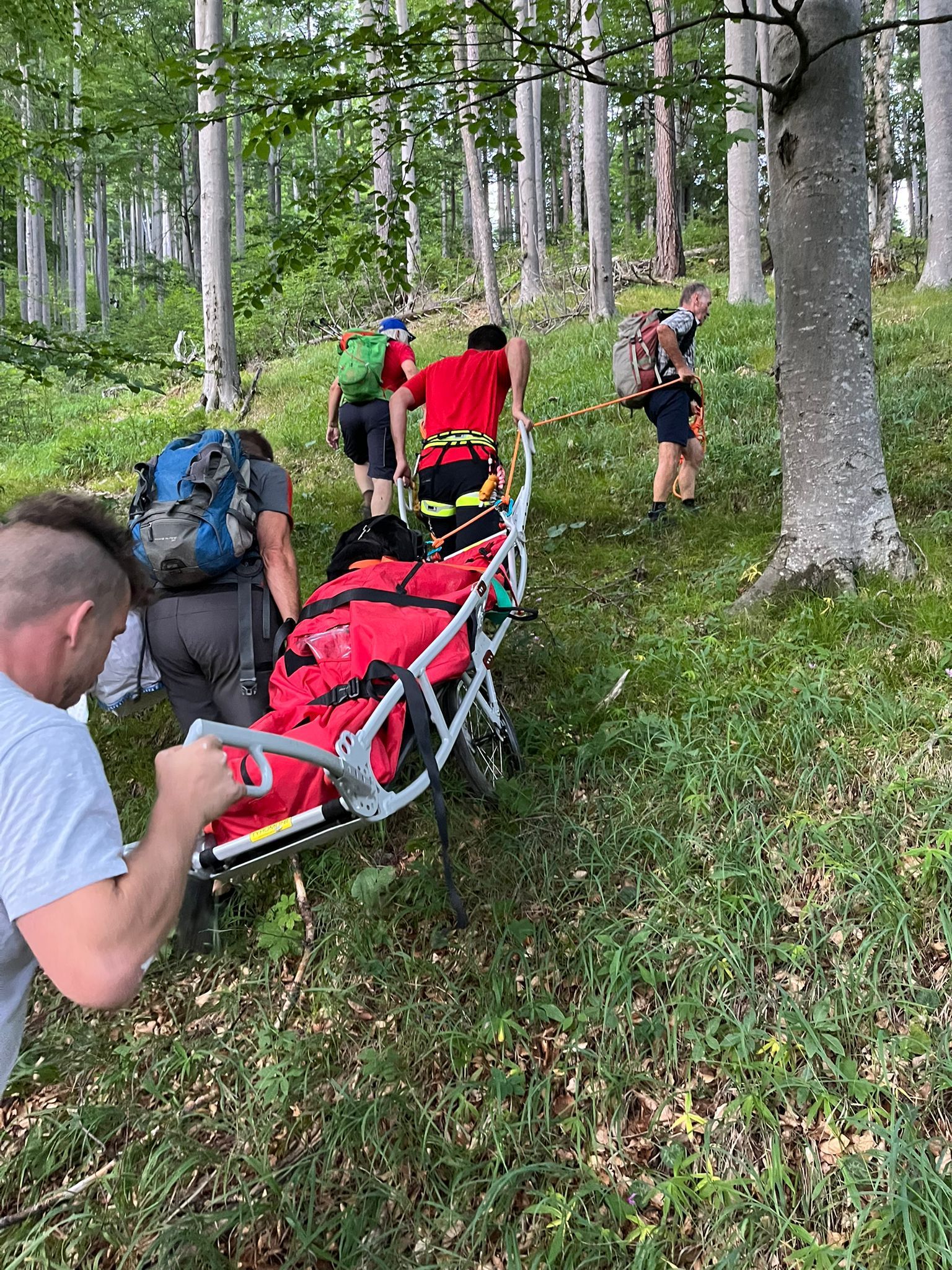 Einsatzmarathon für Bergrettung, Alpinpolizei und Flugrettung – binnen 24 Stunden mussten sie gleich fünf Mal ausrücken, um in Not geratenen Ausflüglern im Rax-Schneeberg-Gebiet zu Hilfe zu kommen.