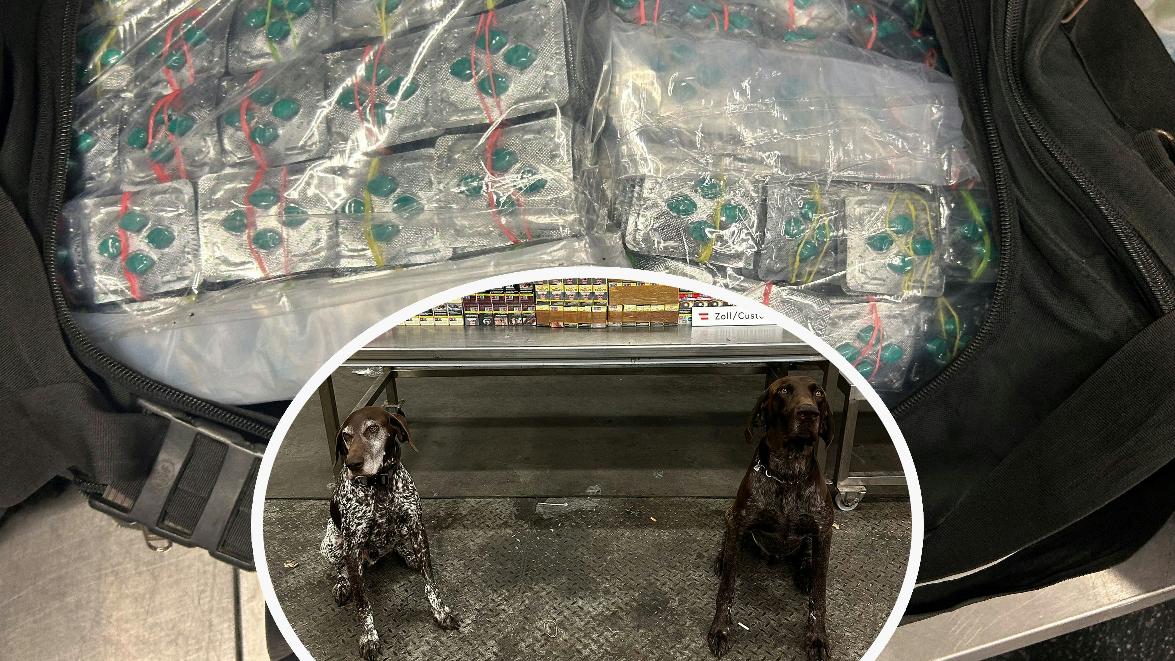 Heute.at - Zollhund erschnüffelt 25.000 Potenzpillen im Gepäck