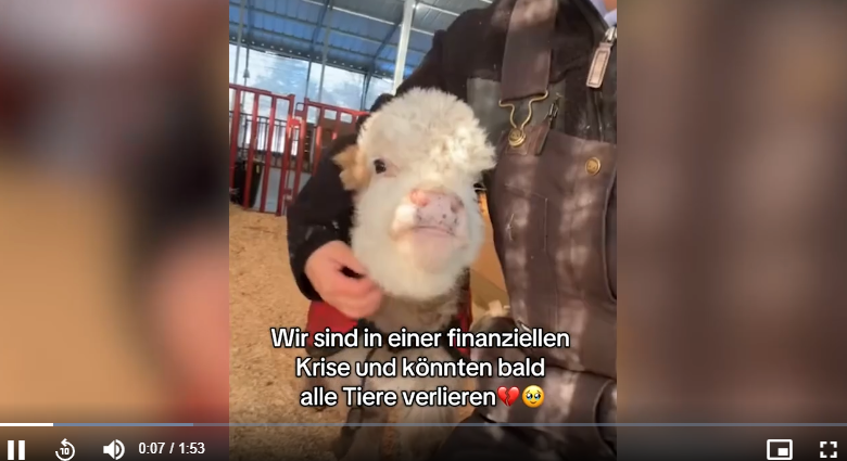 Betrüger sammeln auf TikTok Geld für nicht existierende Lebenshöfe.