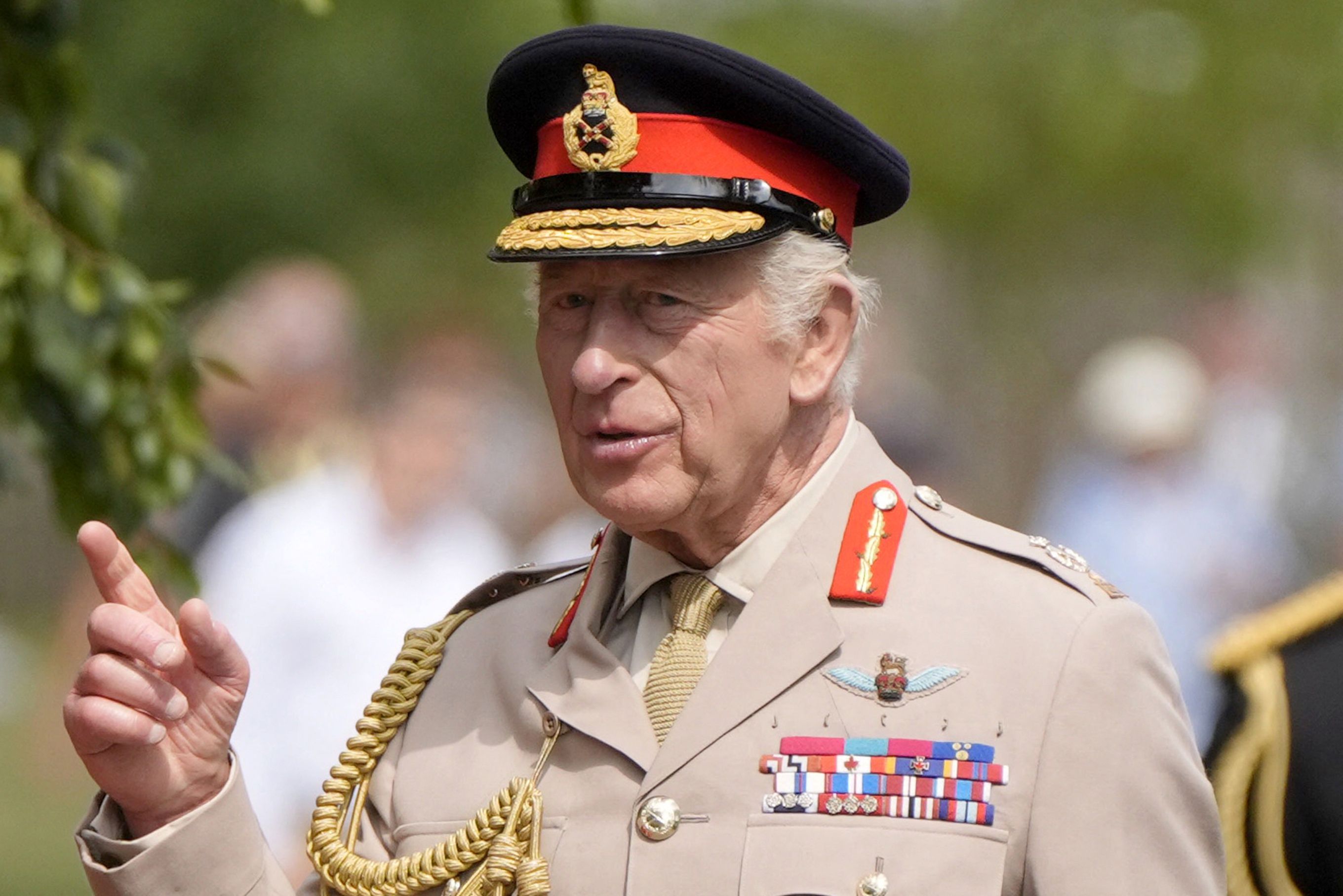 Im vergangenen Monat mussten Schädlingsbekämpfer gerufen werden, um mindestens drei Wespennester im Anwesen von König Charles zu entfernen.