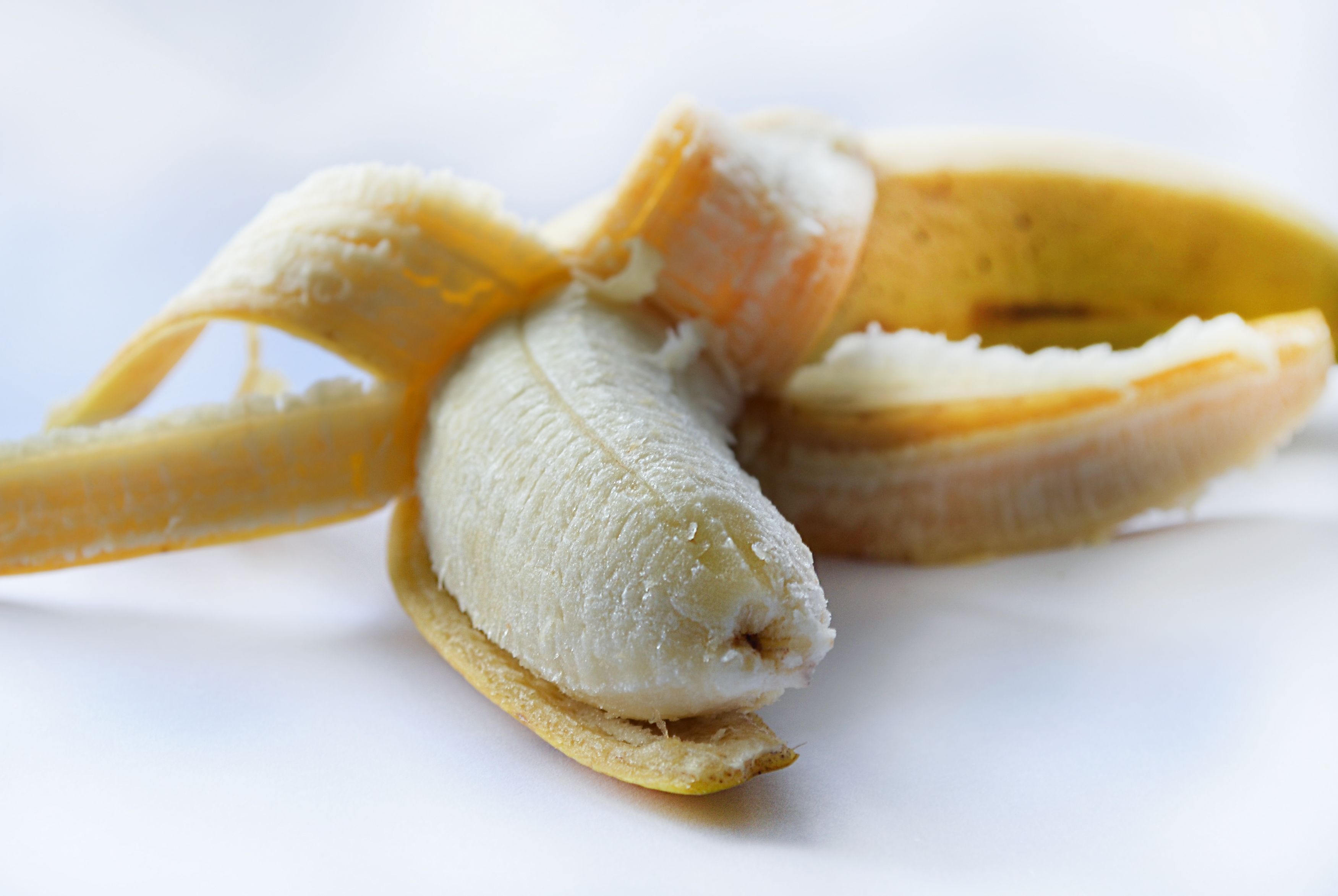 Harmlos, eklig oder gar ein Spinnennest? Der braune Punkt sorgt für Diskussionen.