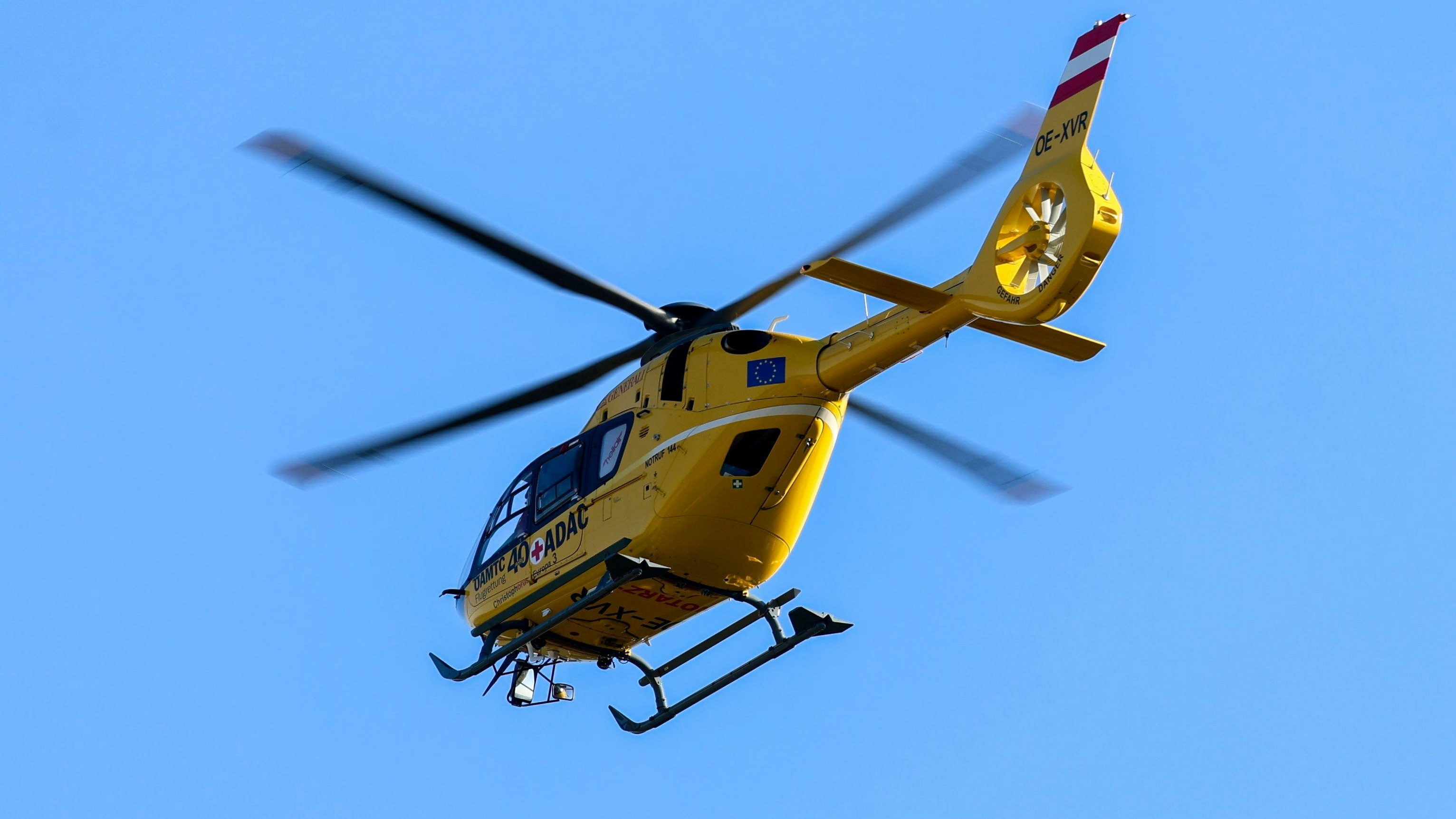 Heute.at - Landwirtin von Kuh angegriffen – schwer verletzt