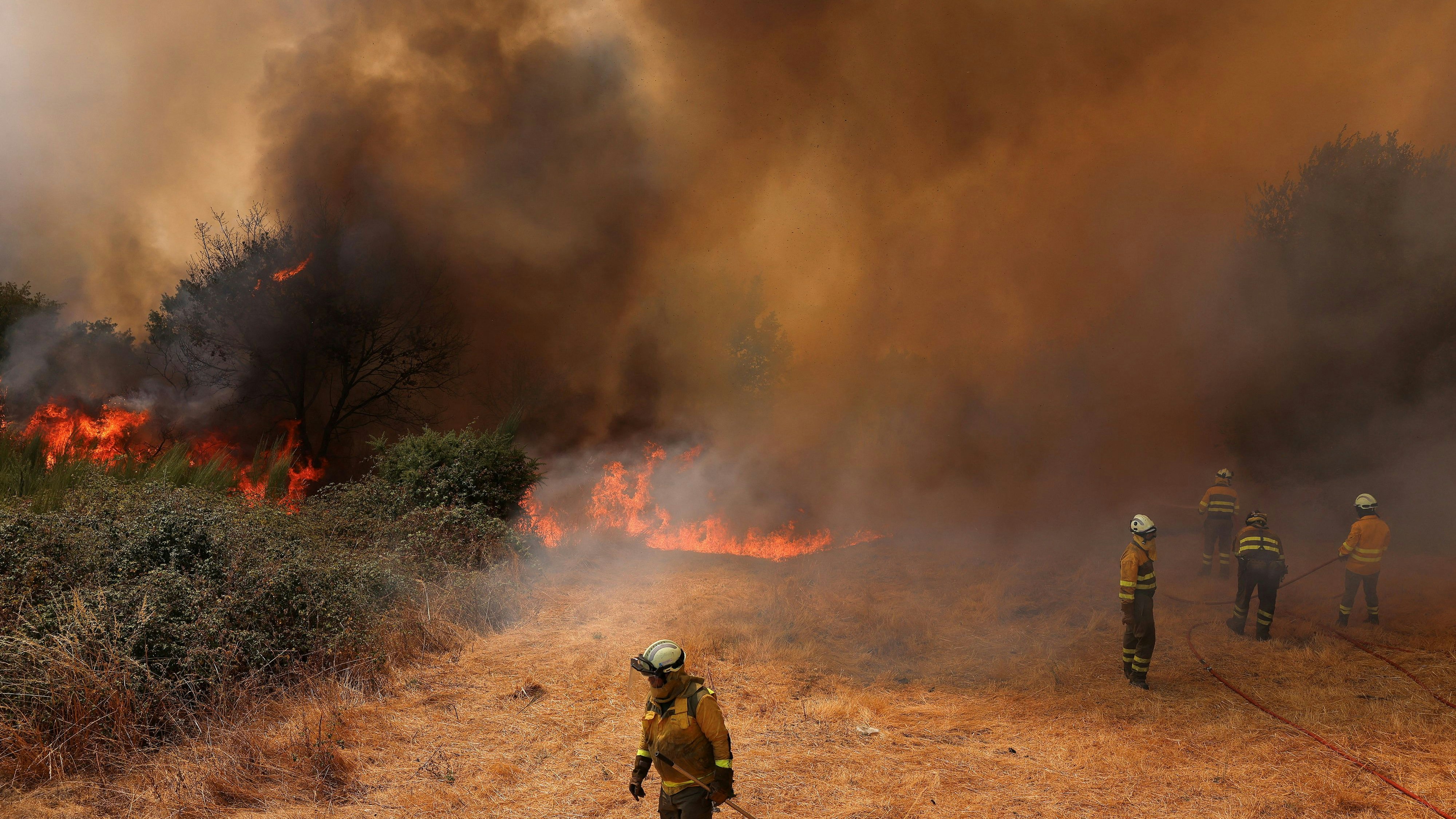 Heute.at - Hitzewelle in Spanien fordert über 1.100 Todesopfer