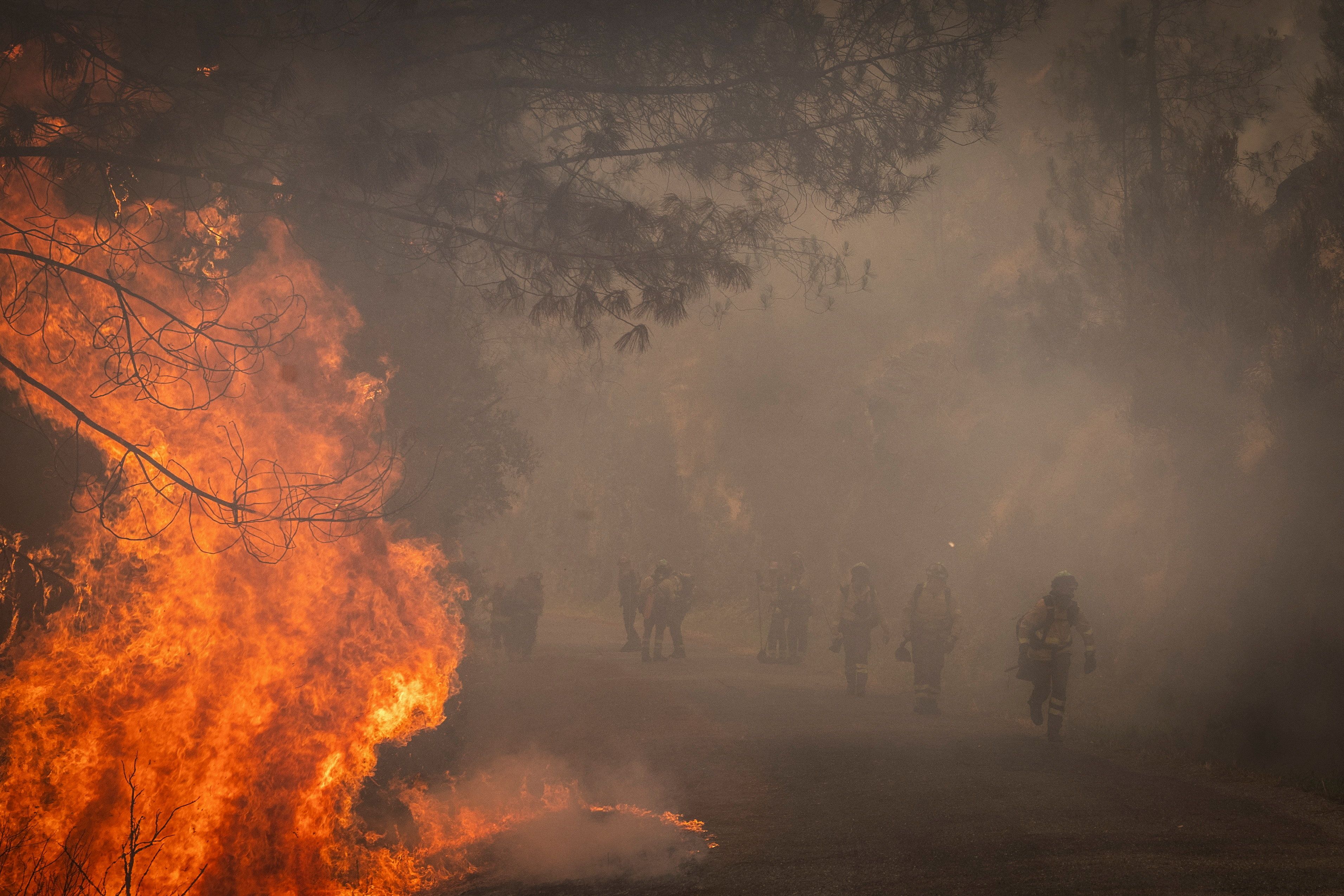 In Spanien wüten Rekord-Waldbrände: Bereits 373.000 Hektar Land wurden verbrannt – so viel wie noch nie in einem ganzen Jahr.