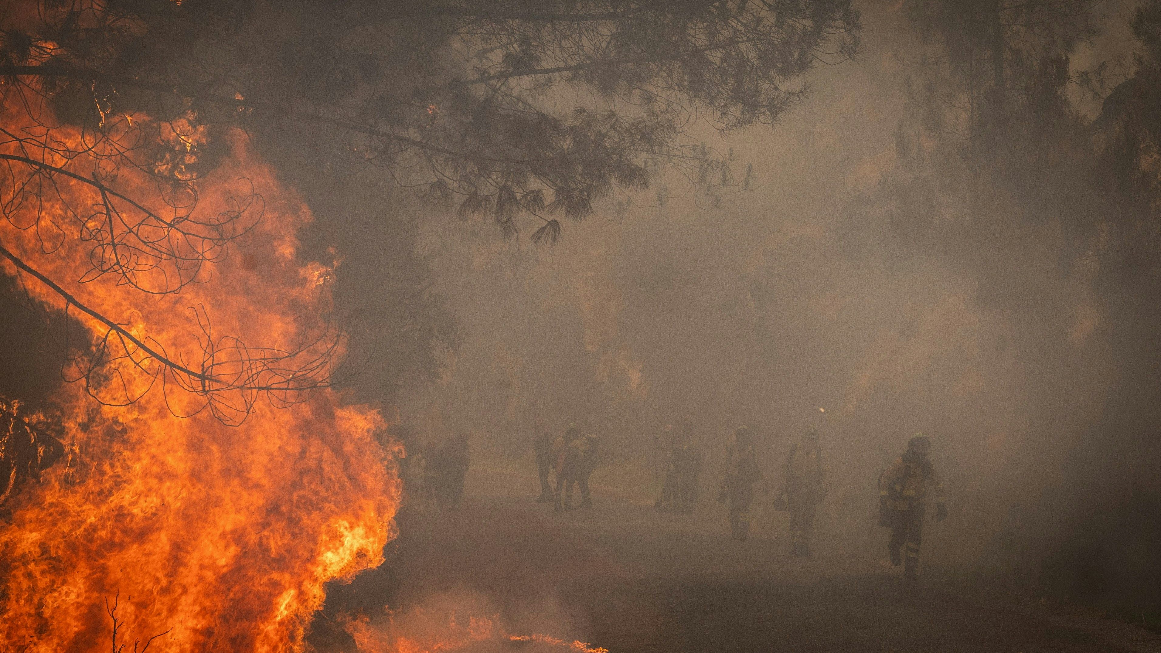 Heute.at - 30.000 Hektar! Spanien kämpft gegen Rekord-Feuer