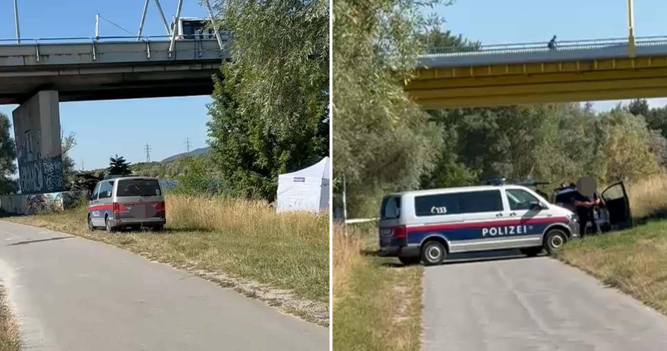 Heute.at - Wasserleiche auf der Donauinsel – Verdächtiger gefasst