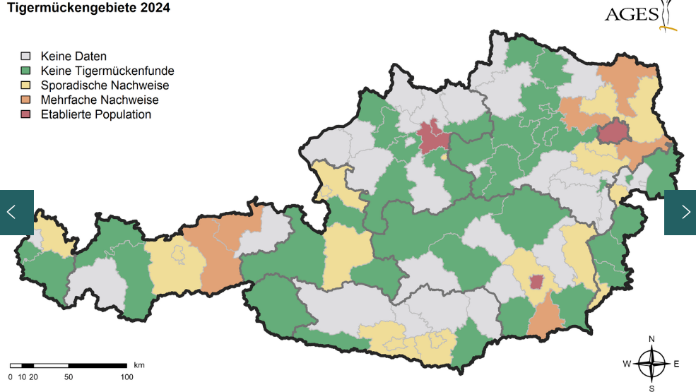 Die Verbreitungsgebiete der Tigermücke wachsen rasant.