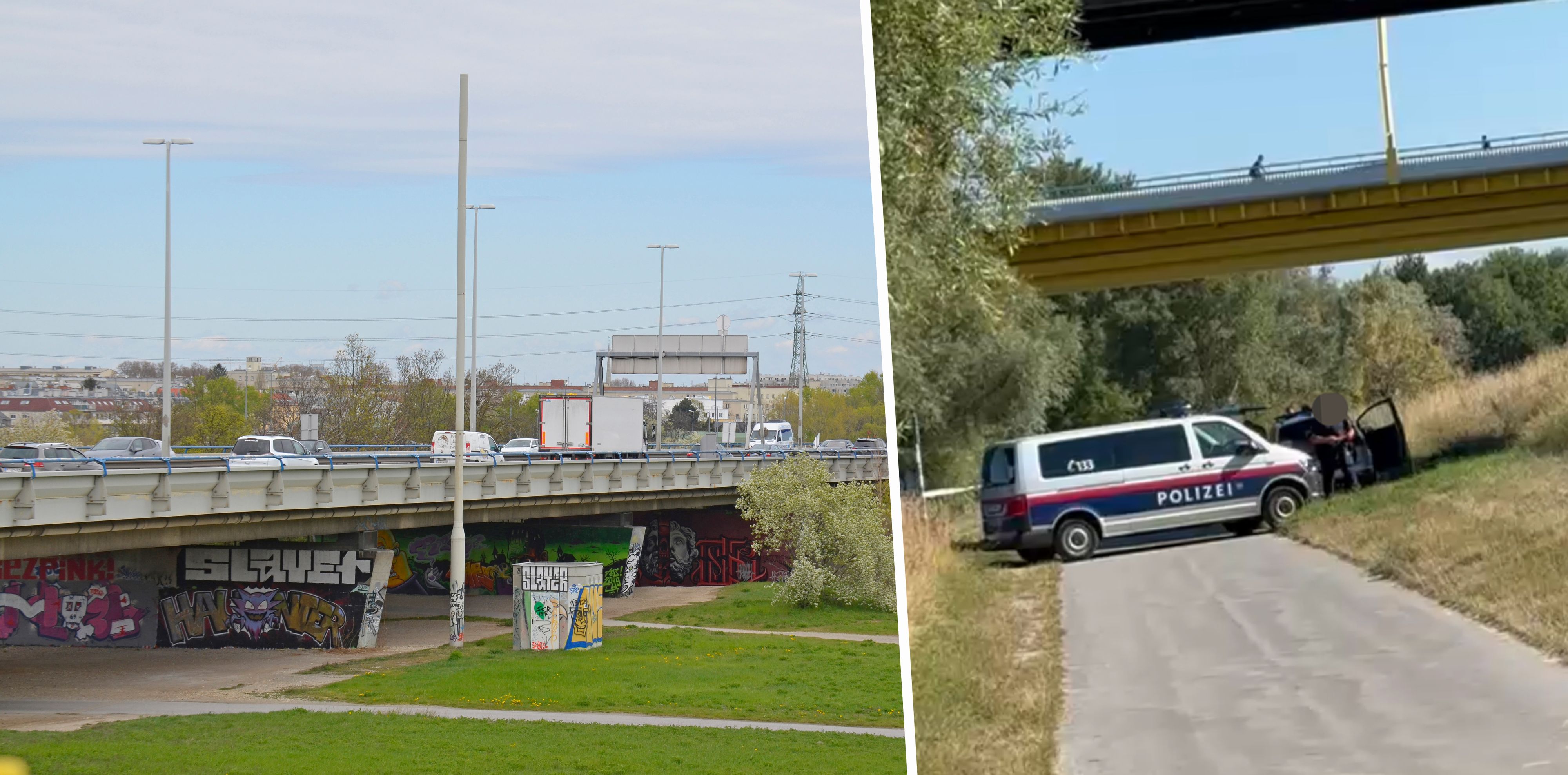 Unter der Nordbrücke in Floridsdorf rückte die Polizei am Dienstag zu einem Großeinsatz aus: Dort wurde eine Wasserleiche entdeckt.