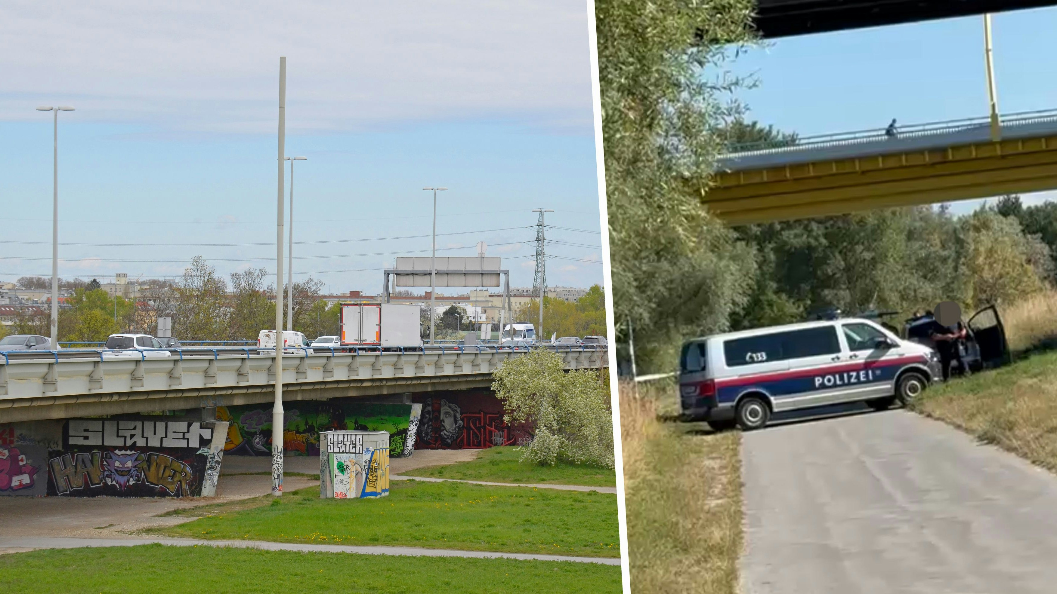Heute.at - Donau-Wasserleiche: Blutiger Kopf und Spuren am Ufer