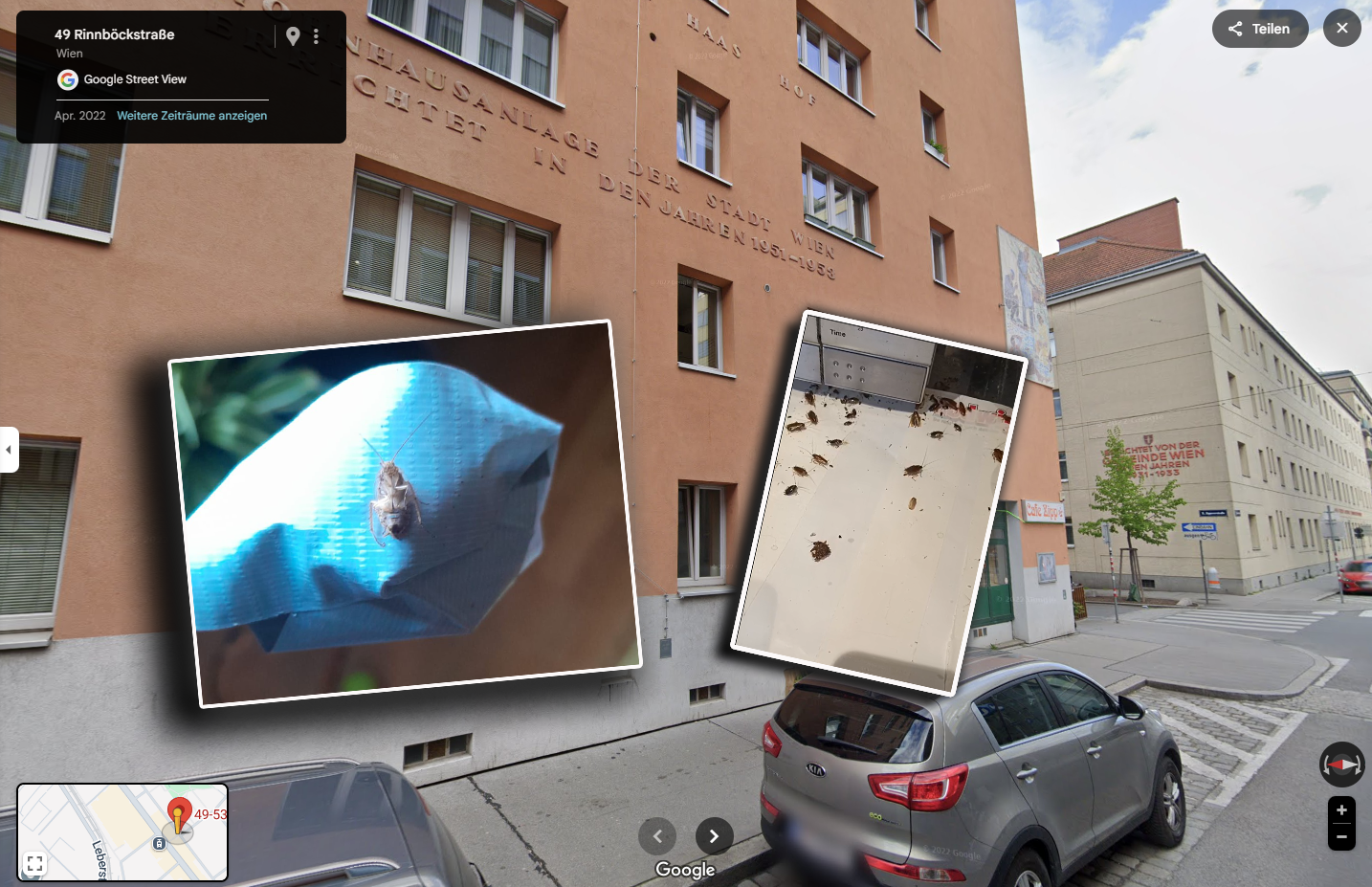 Die Insekten sorgen bei den Mietern für Albträume