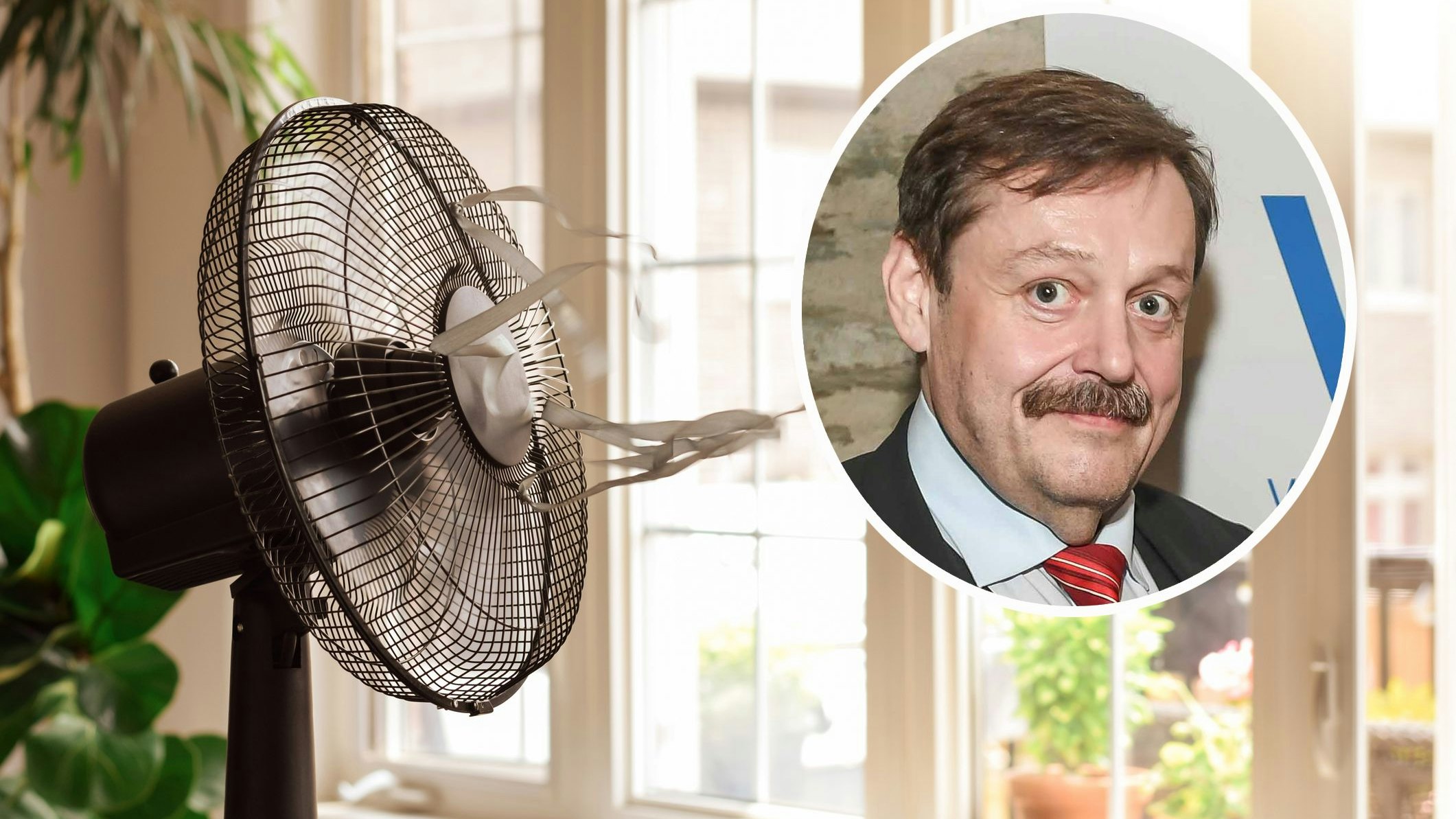 Heute.at - Physiker verrät: Das steckt hinter dem Ventilator-Trick
